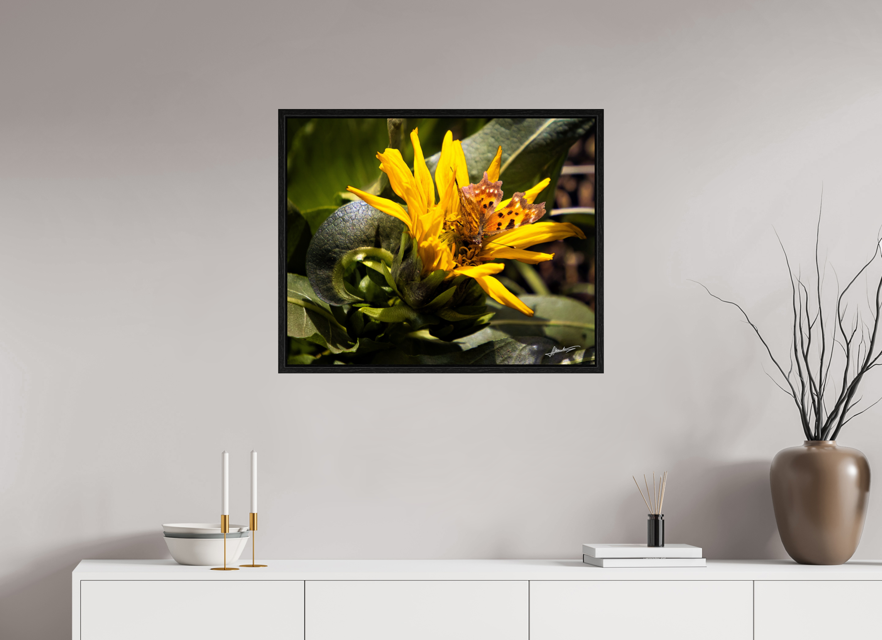 30 x 24″, Floater Frame Busy Butterfly