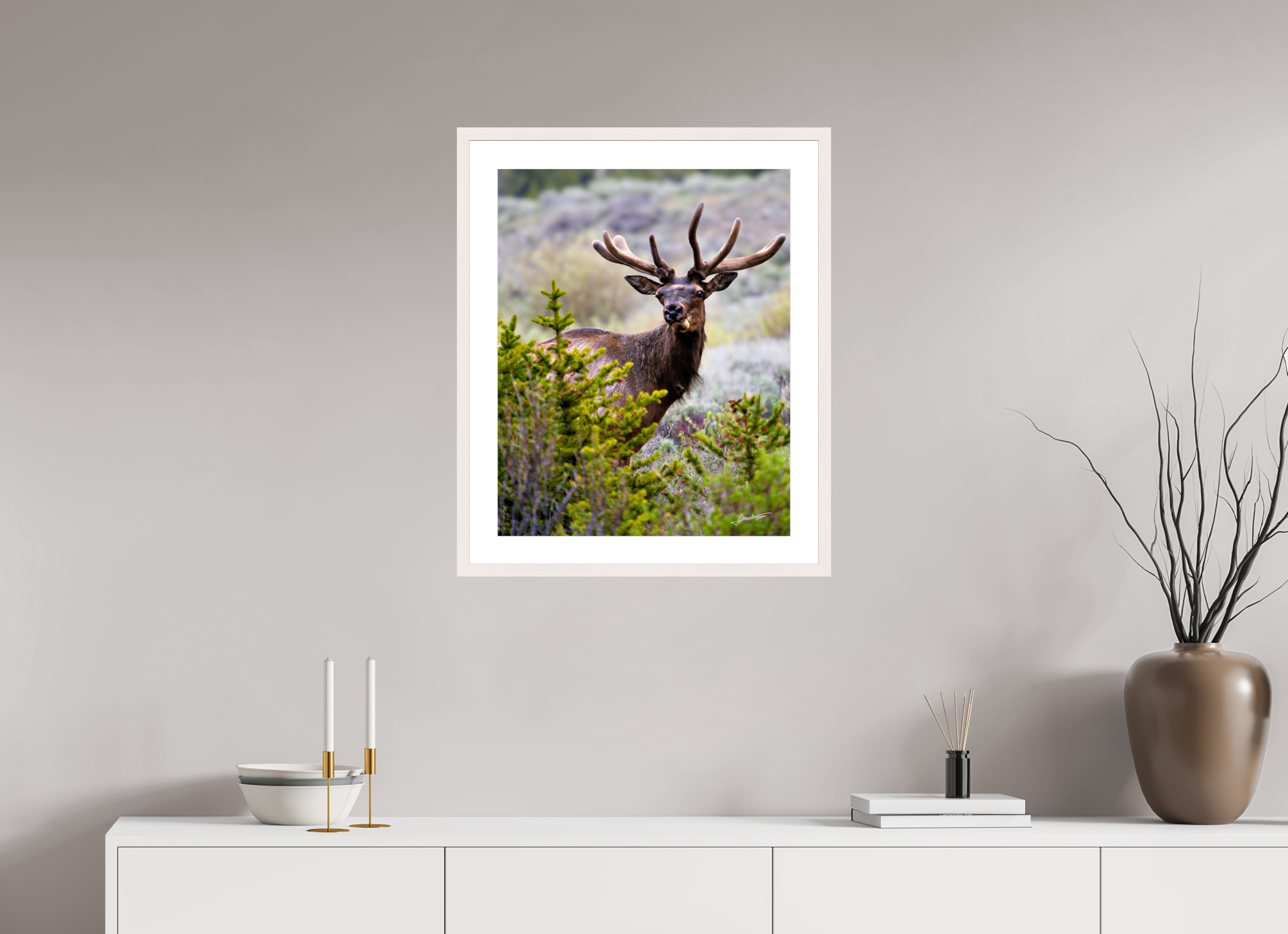 20 x 25″, Solid Wood Frame with Passe-partout Velvet Bull