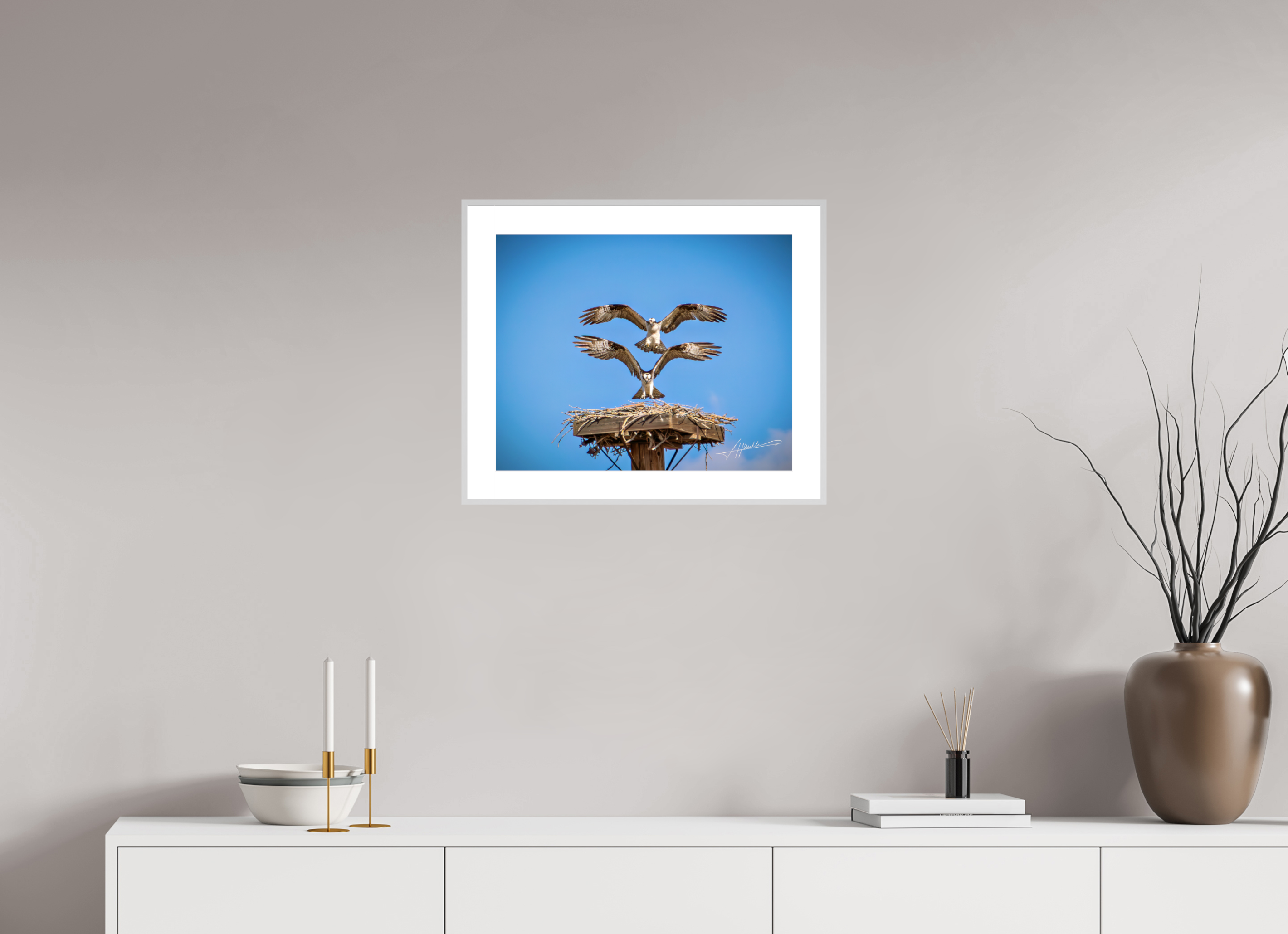 20 x 16″, Changeable Magnetic Frame Two Osprey Landing