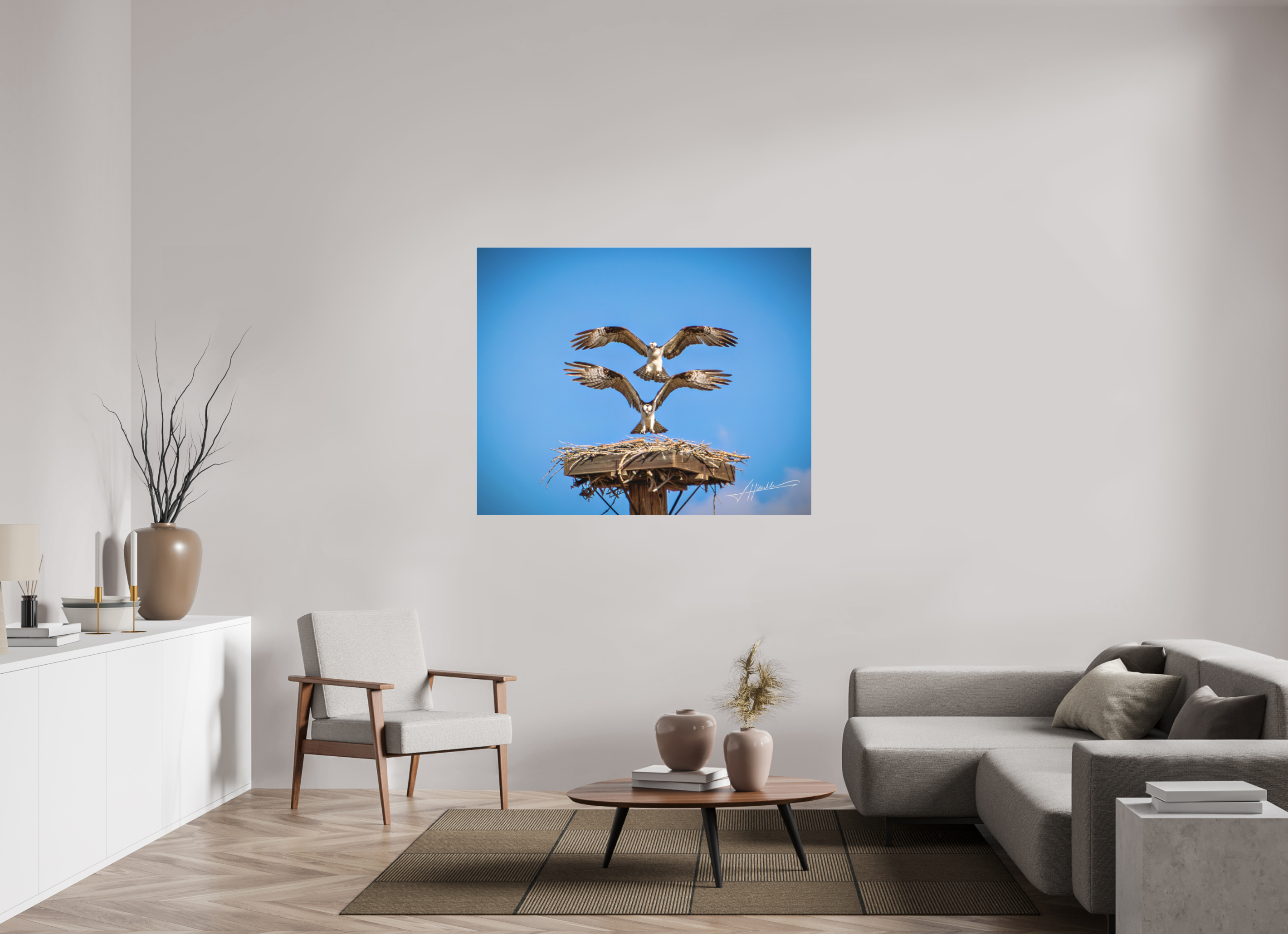 53.7 x 43″, Fine Pigment Under Acrylic Two Osprey Landing