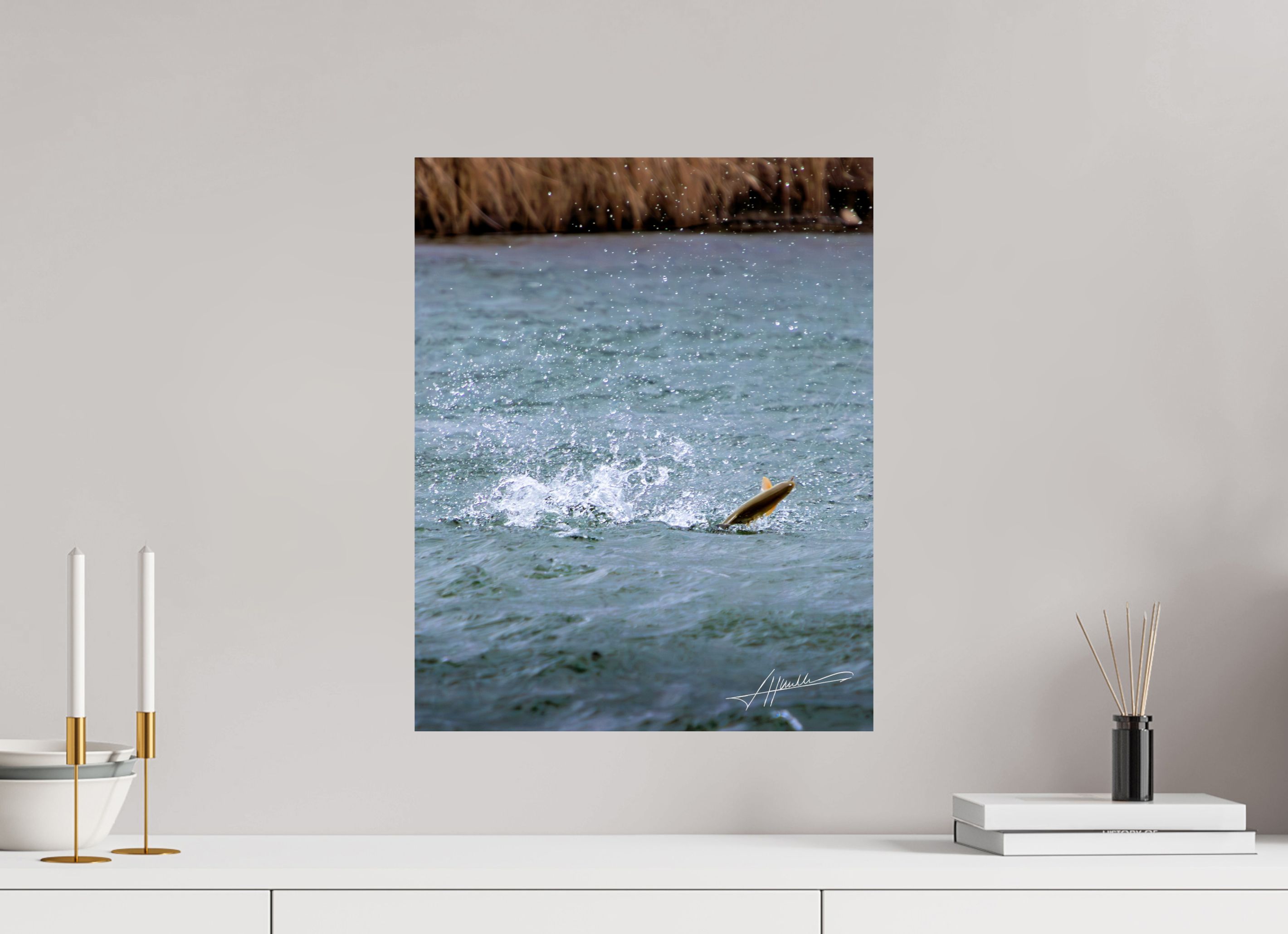16 x 20″, Photo Print On Fujiflex High Gloss Jumping Rainbow Trout