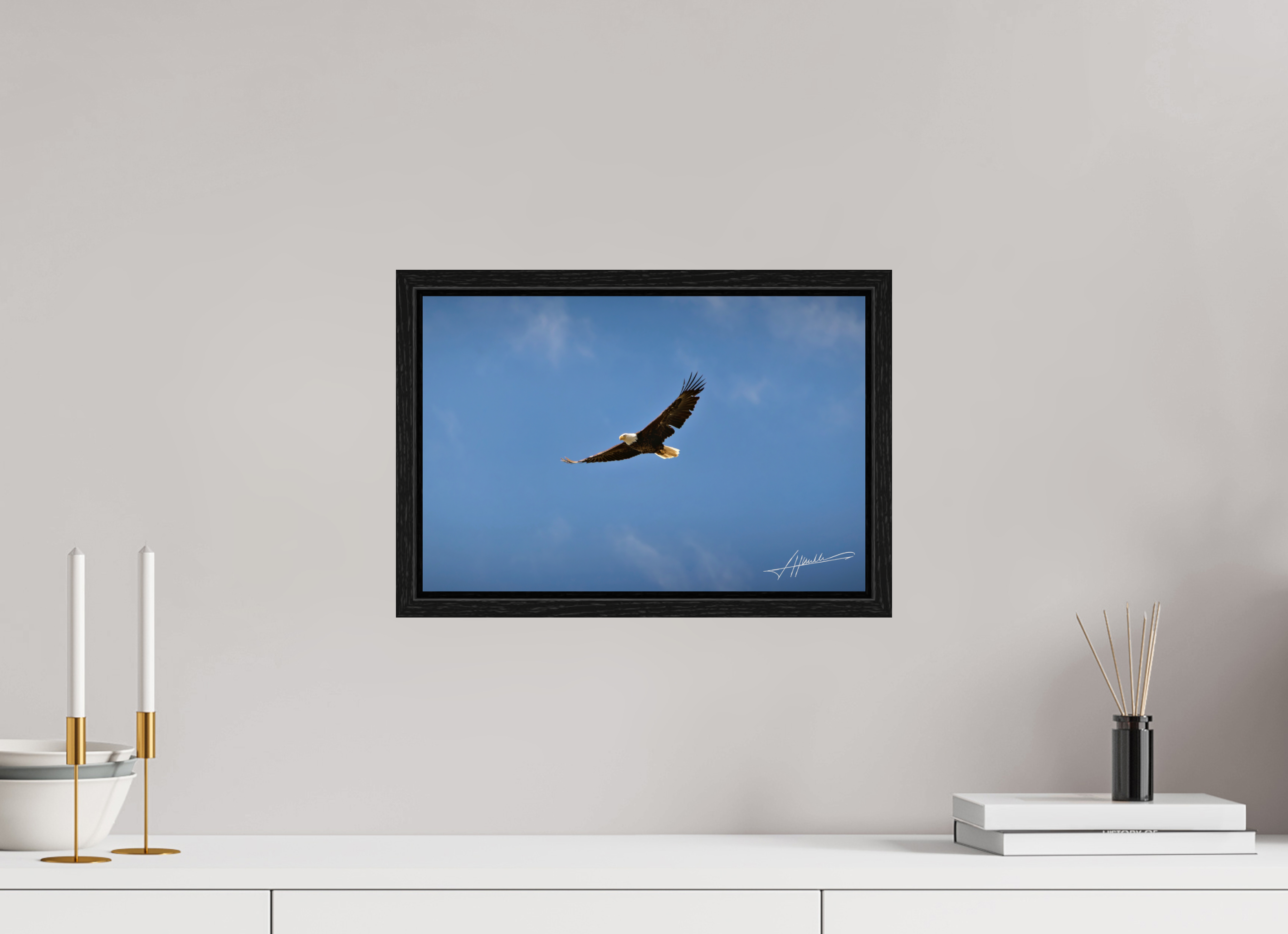 15 x 10″, Floater Frame Soaring Free