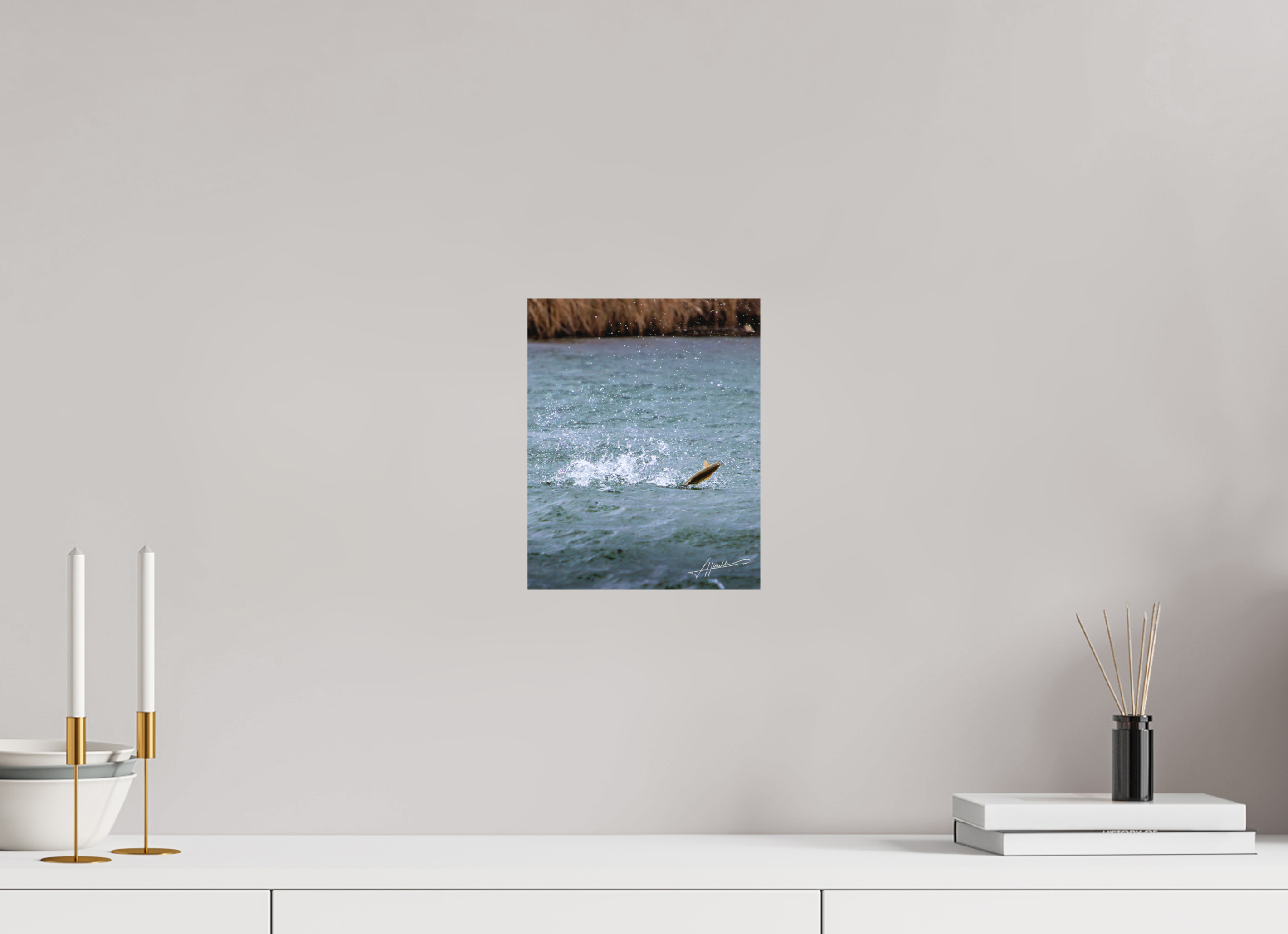 8 x 10″, Metal Dibond Jumping Rainbow Trout
