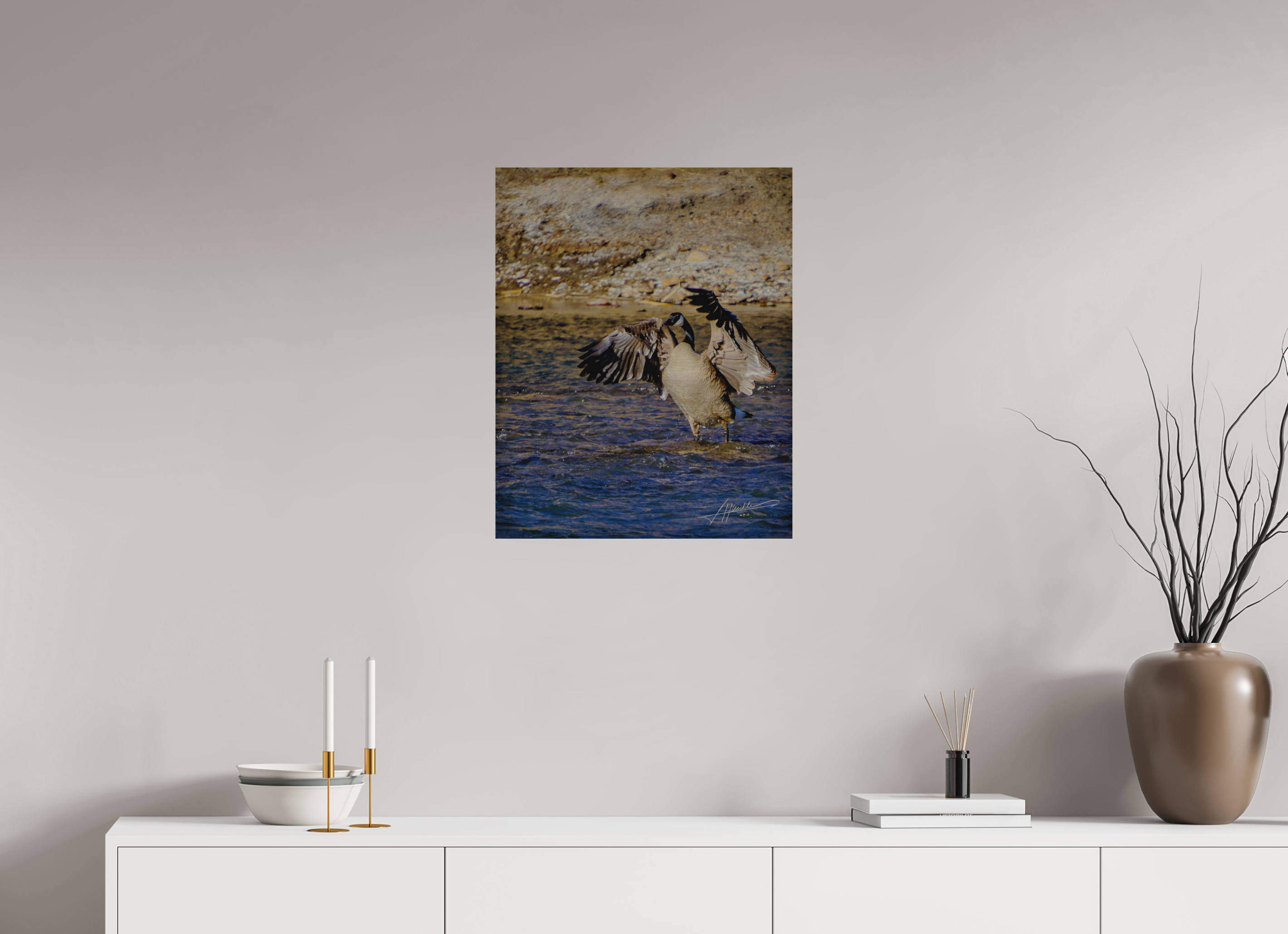 20 x 25″, Direct Brushed Aluminum The Bathing Goose