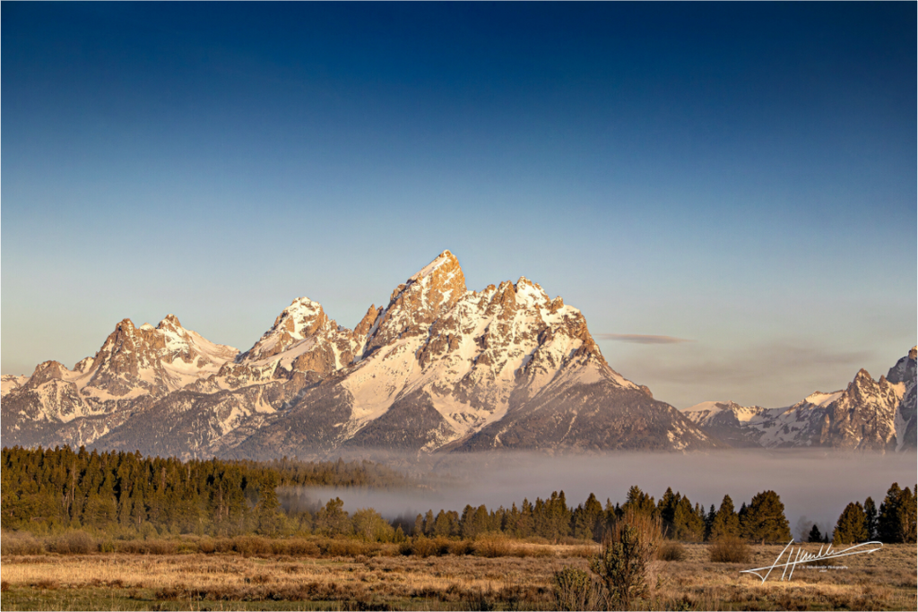 Main image Above the Fog