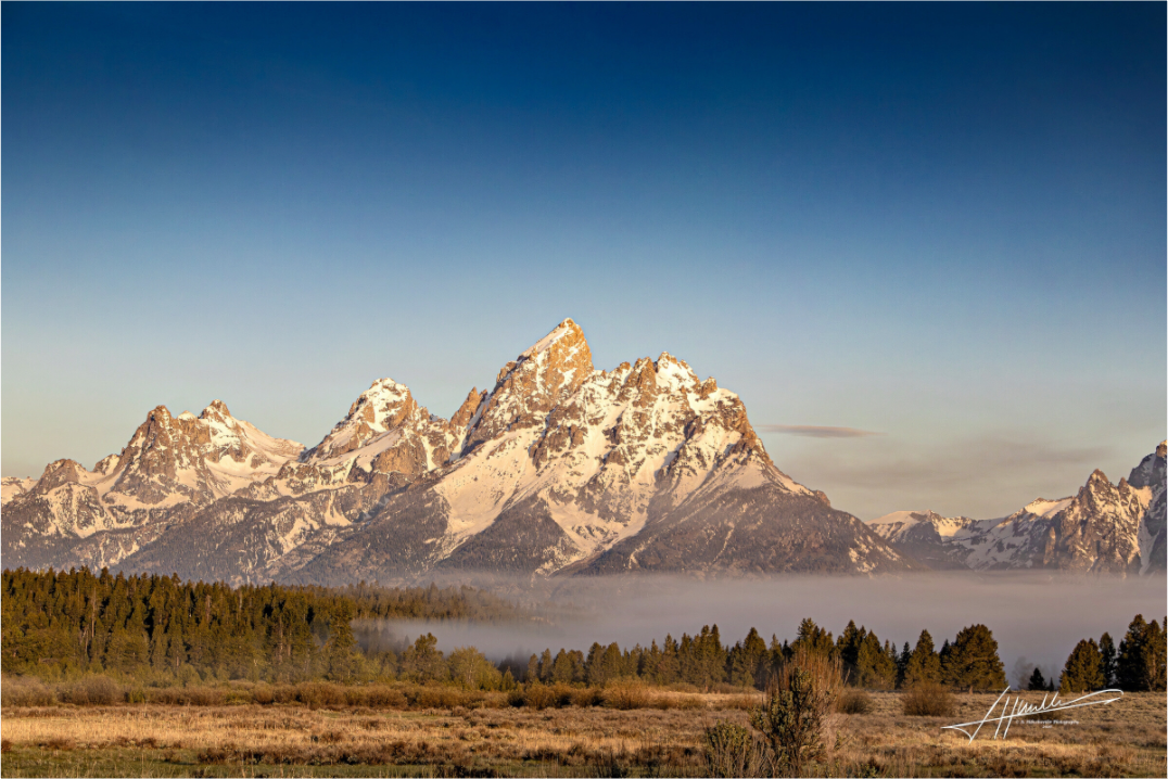 Main image Above the Fog