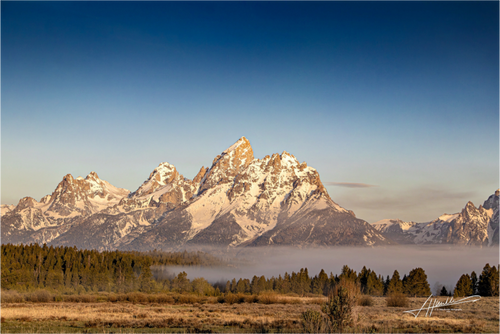 Main image Above the Fog