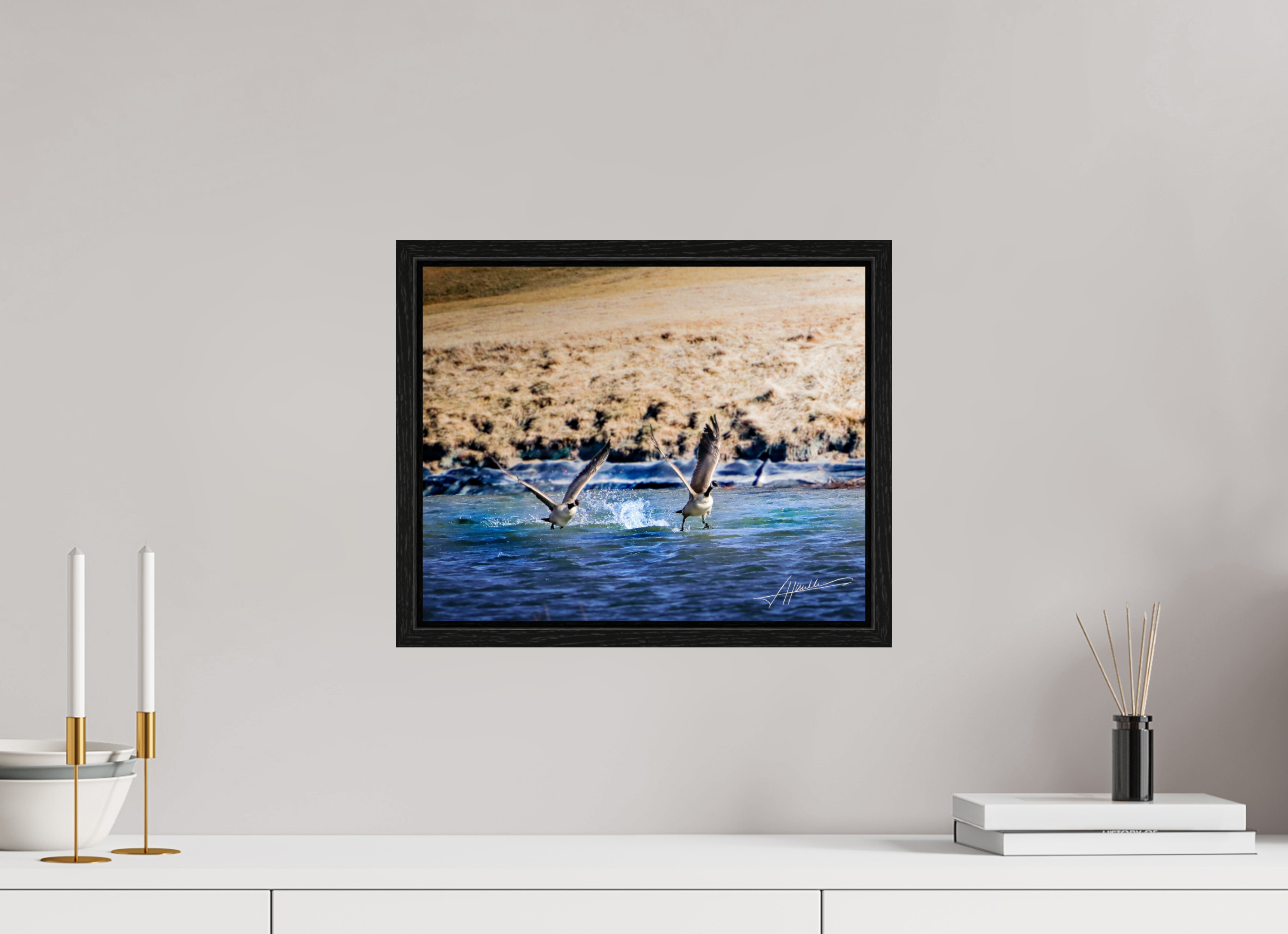 15 x 12″, Floater Frame Geese Taking Flight