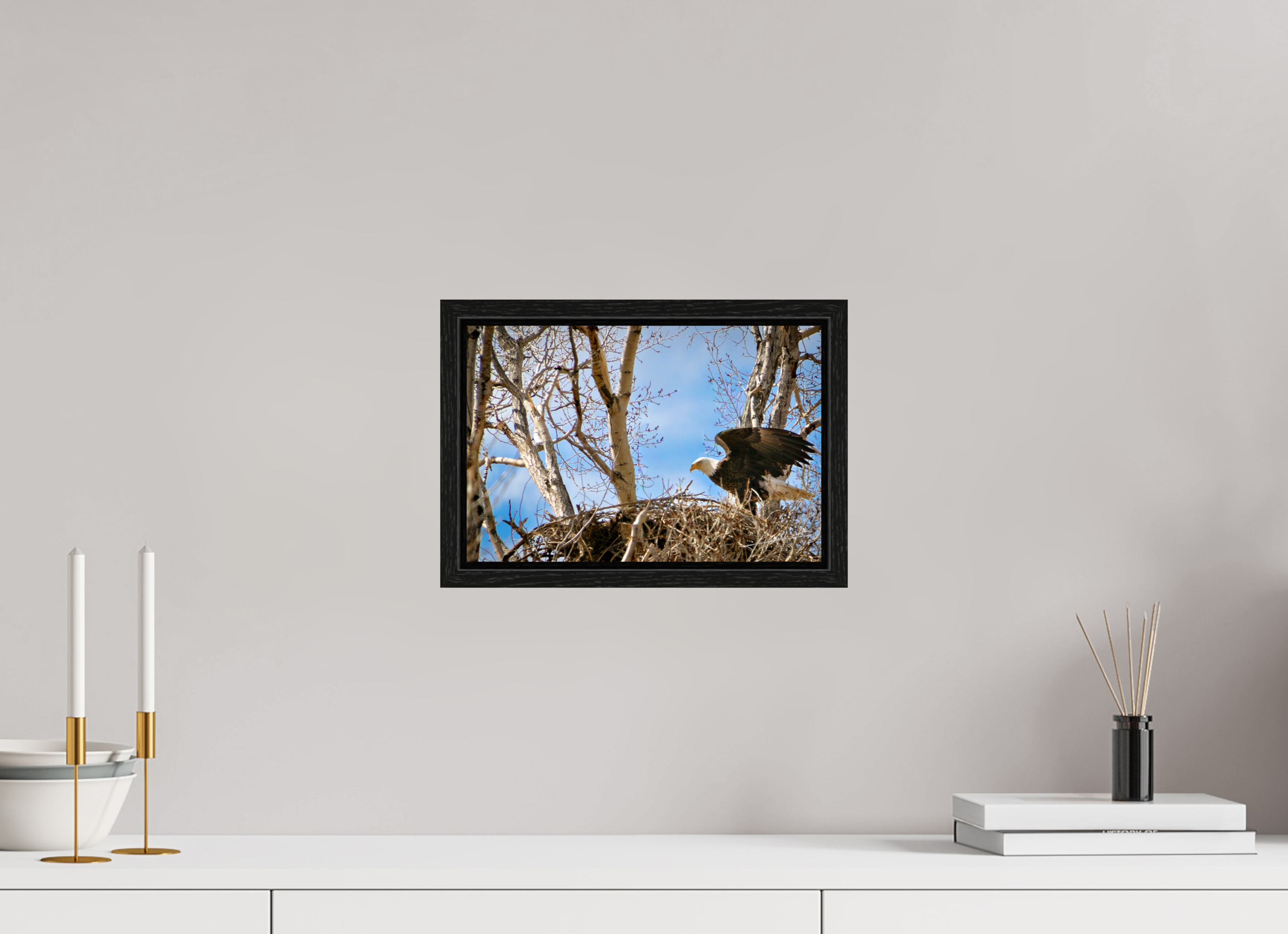 12 x 8″, Floater Frame The Eagles Nest