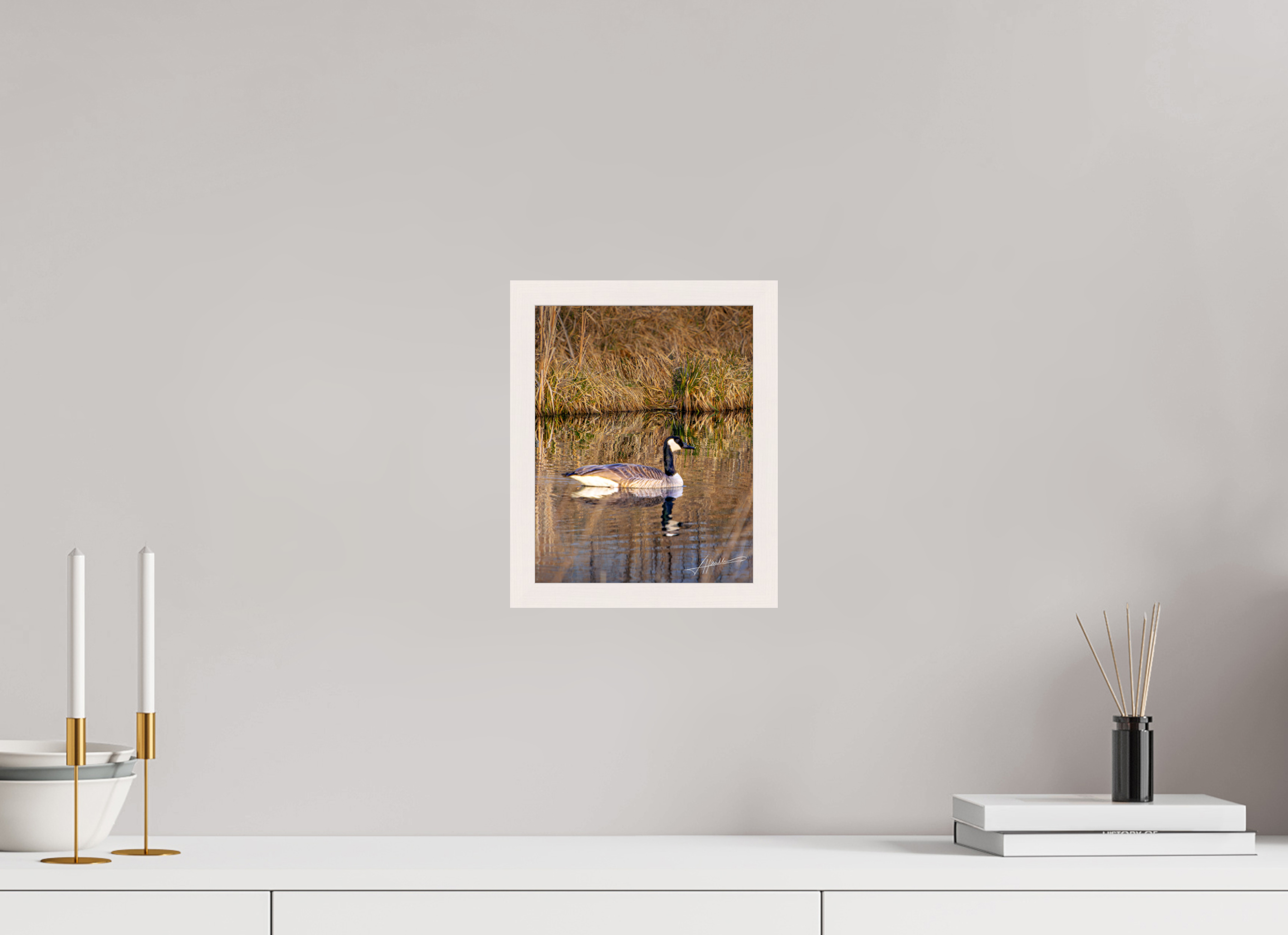8 x 10″, Gallery Frame A Swimming Reflection
