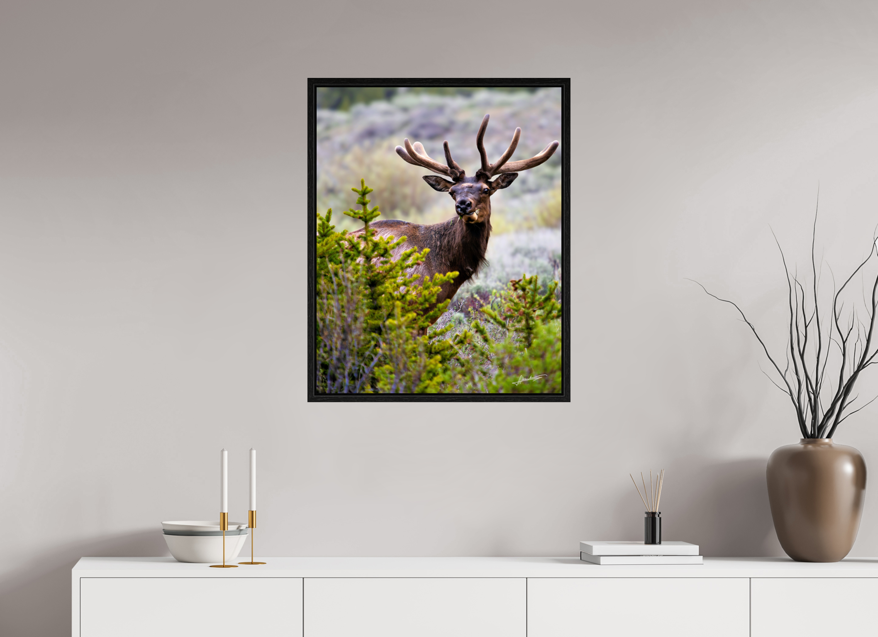 24 x 30″, Floater Frame Velvet Bull