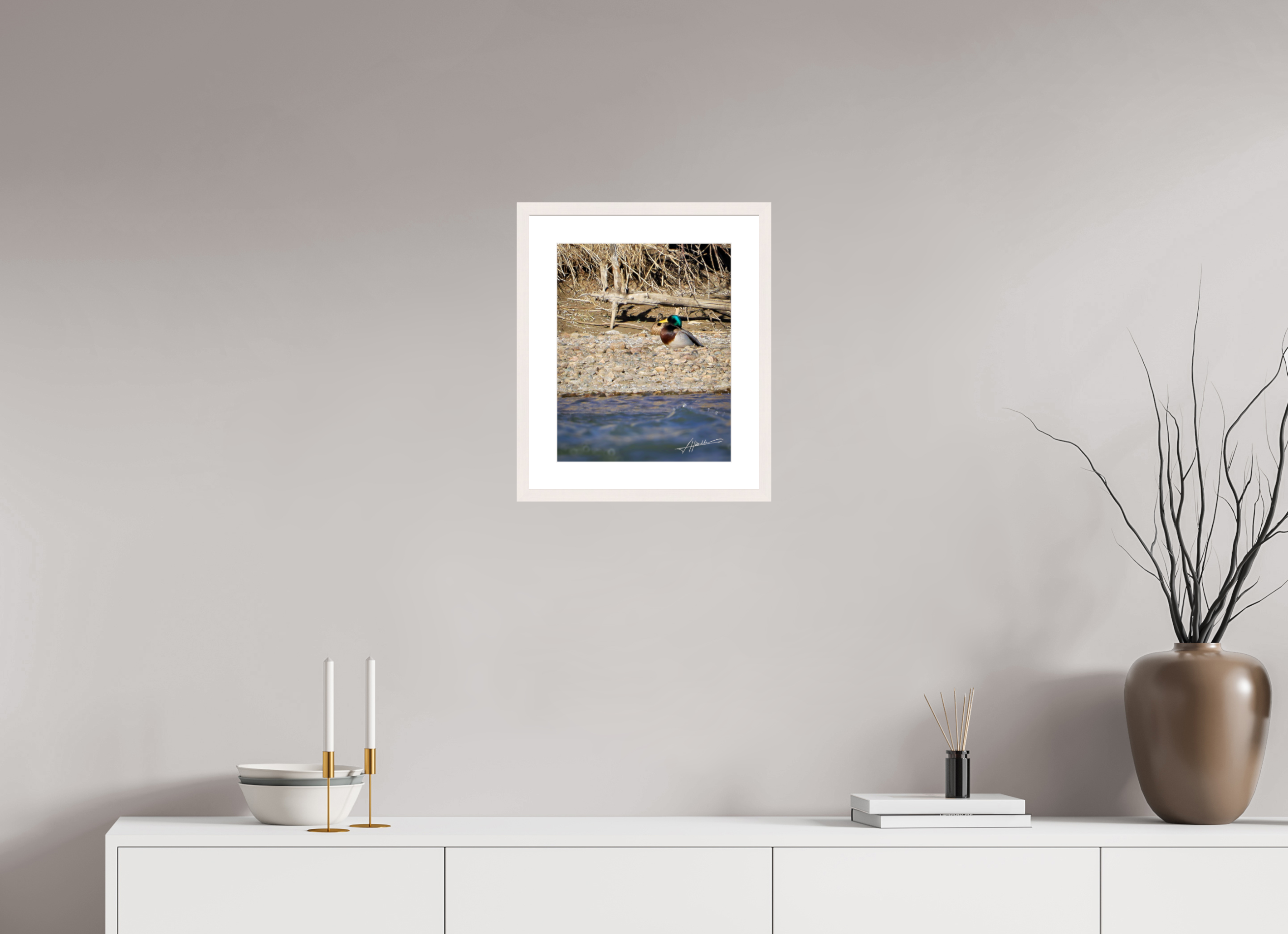 12 x 15″, Solid Wood Frame with Passe-partout Sunbathing Mallard