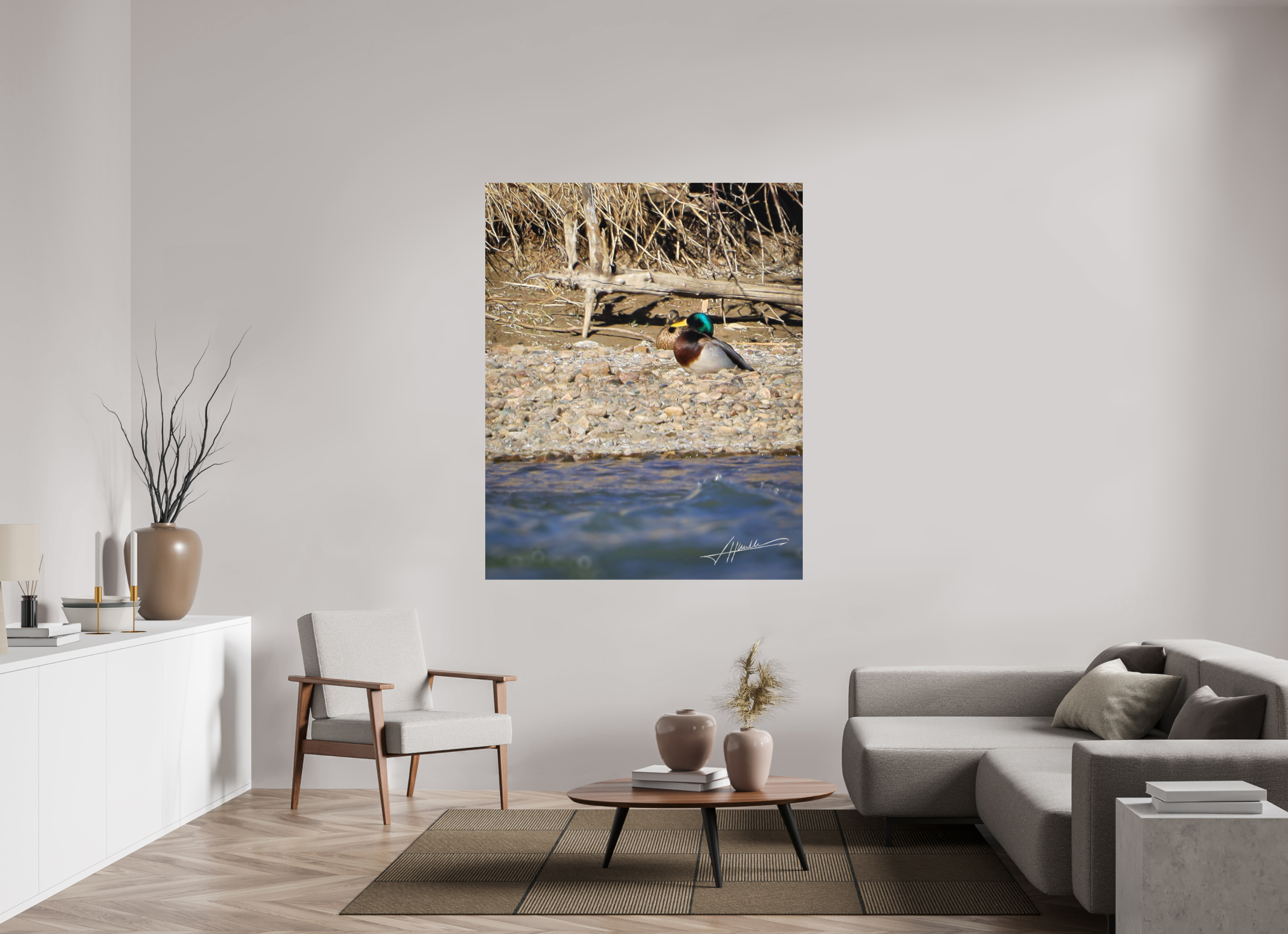 51 x 63.7″, Metal Dibond Sunbathing Mallard