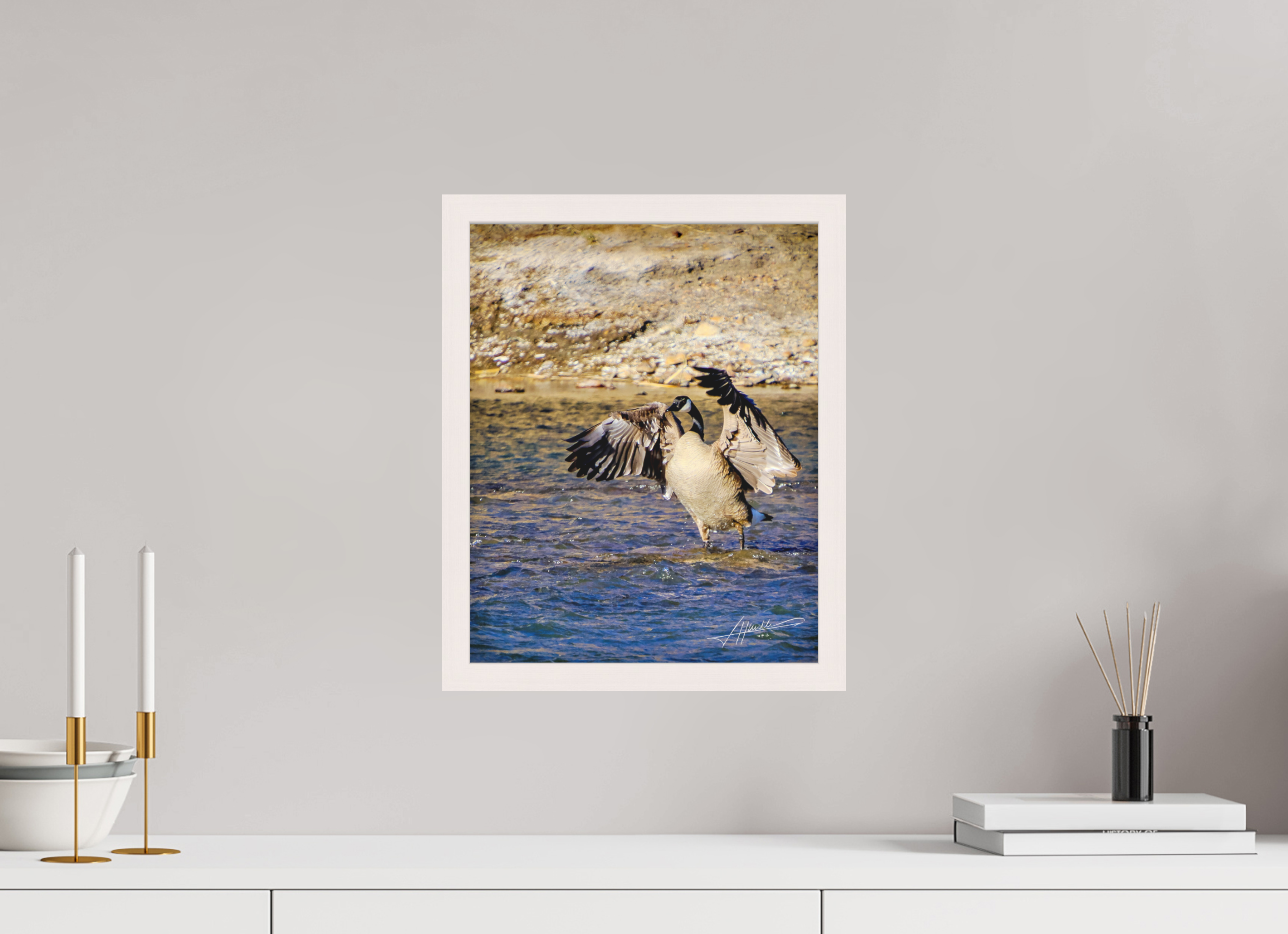 12 x 15″, Shadow Box Frame The Bathing Goose