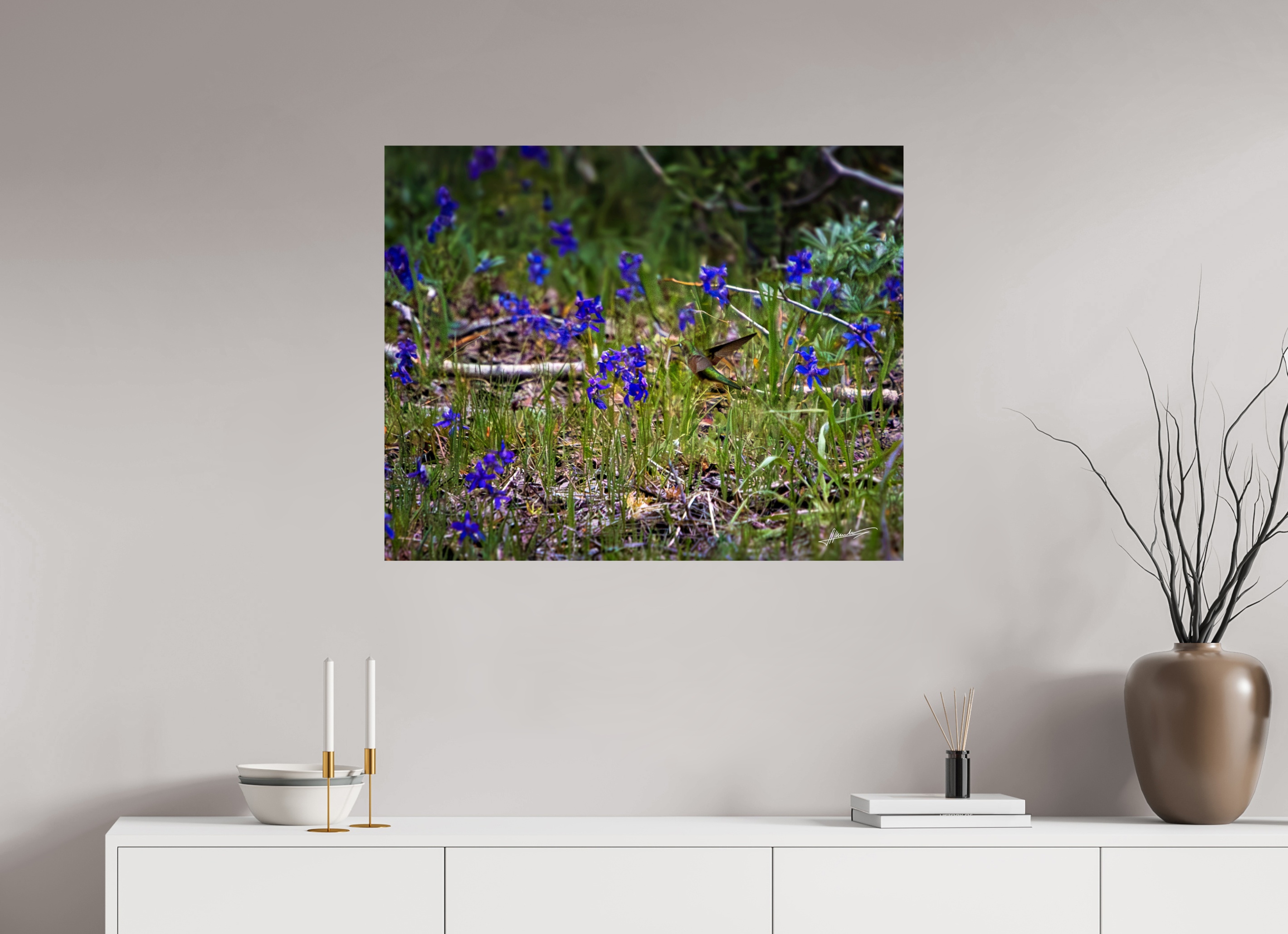 35 x 28″, ChromaLuxe HD Metal Feeding Hummingbird