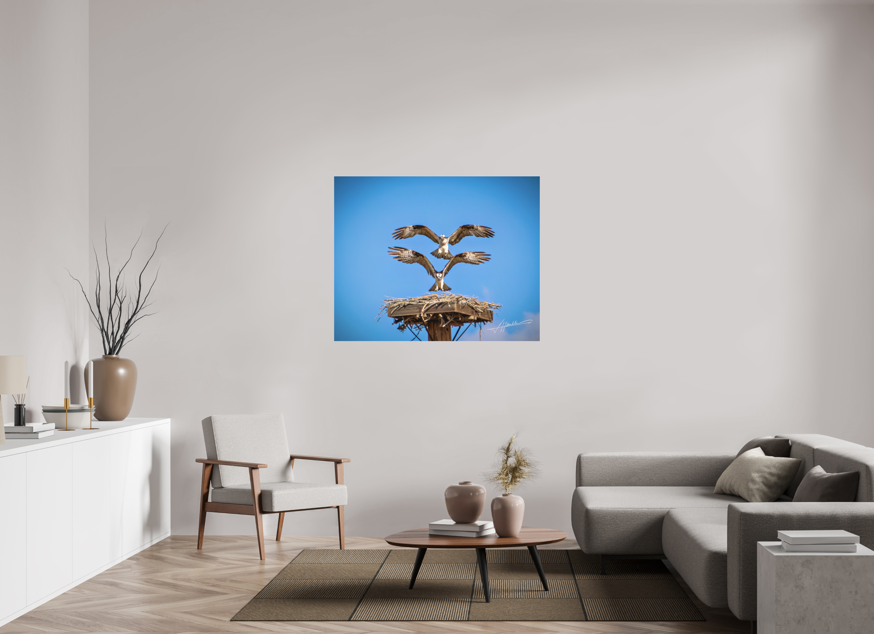 48.7 x 39″, Fine Pigment Under Acrylic Two Osprey Landing