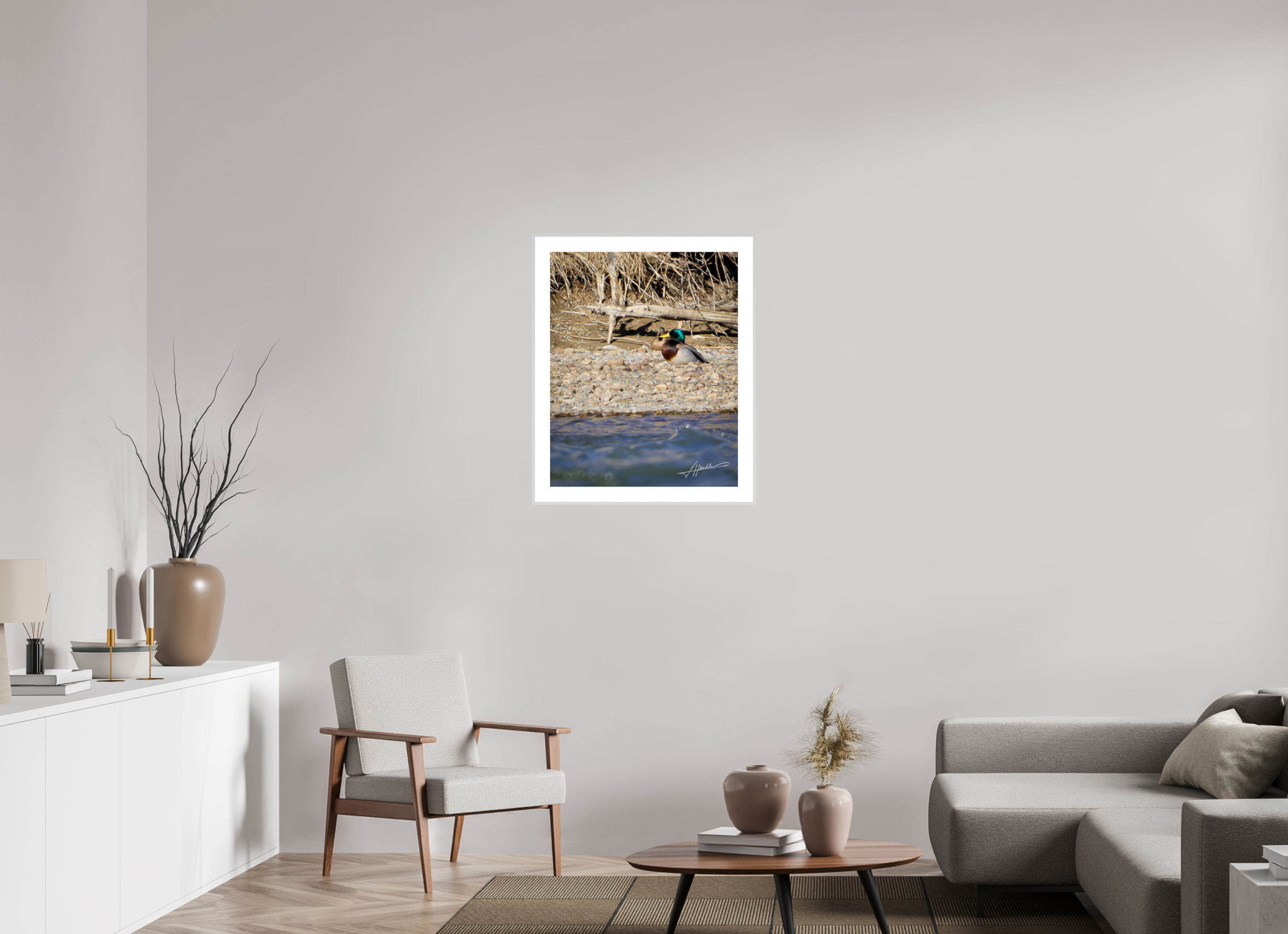 24 x 30″, Changeable Magnetic Frame Sunbathing Mallard