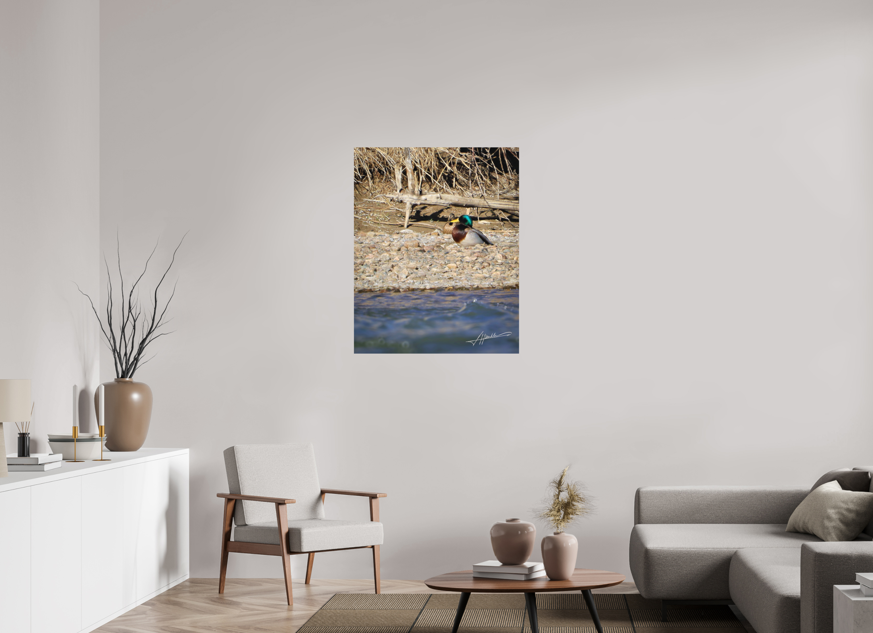 31 x 38.7″, Metal Dibond Sunbathing Mallard