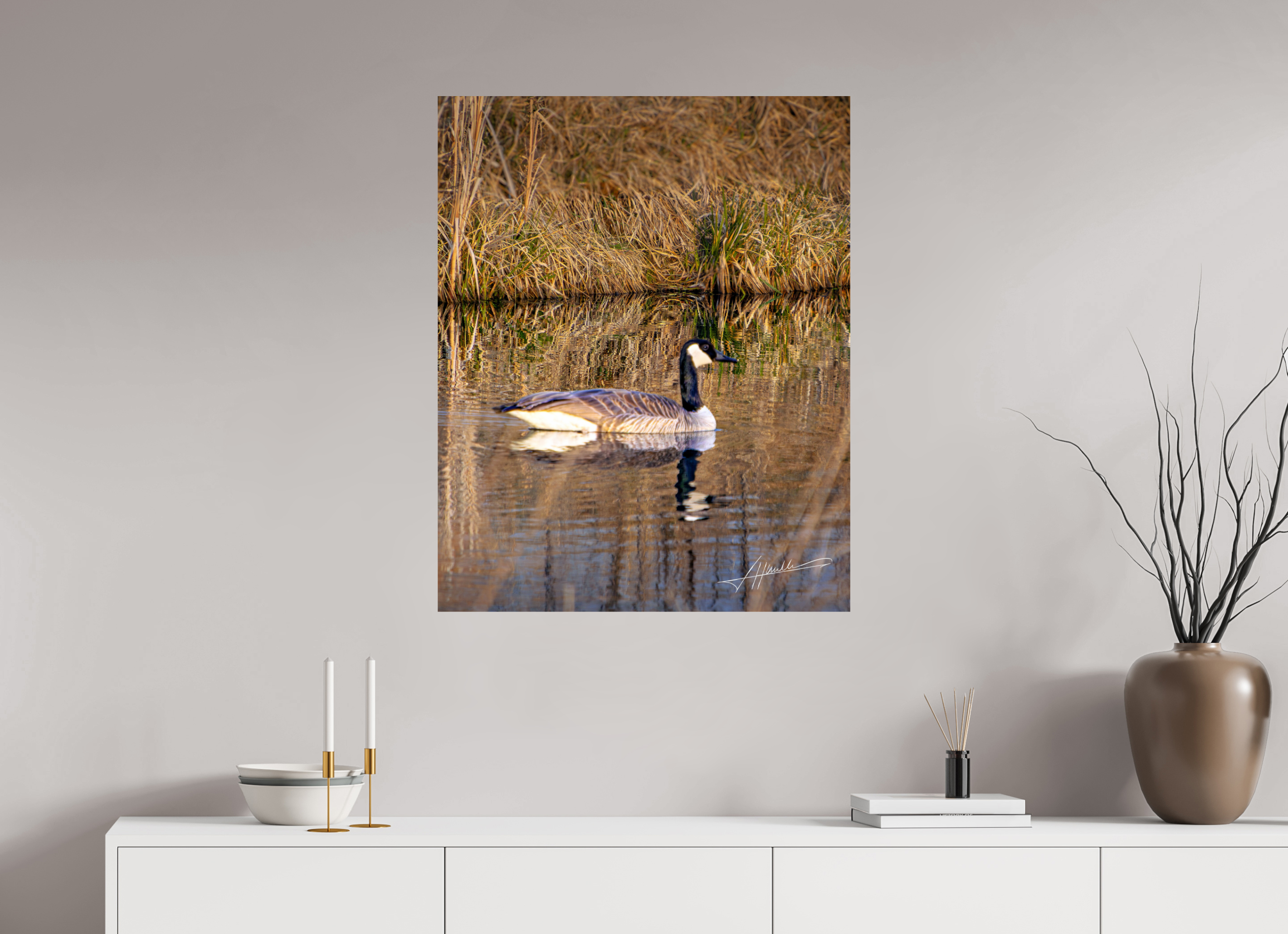 28 x 35″, Photo Print On Fuji Crystal DP II A Swimming Reflection