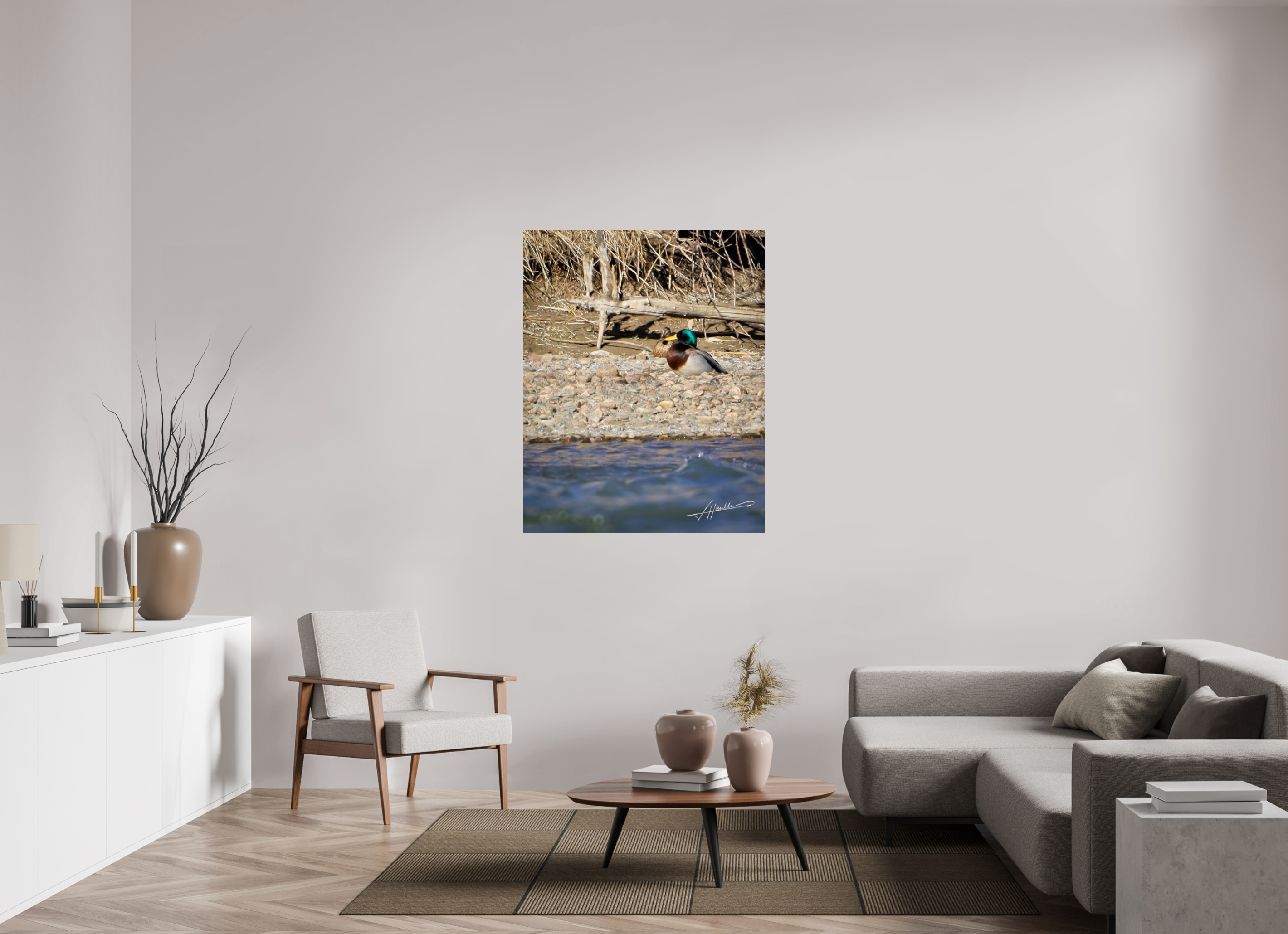39 x 48.7″, Metallic Photo Print On Fuji Crystal Pearl Sunbathing Mallard