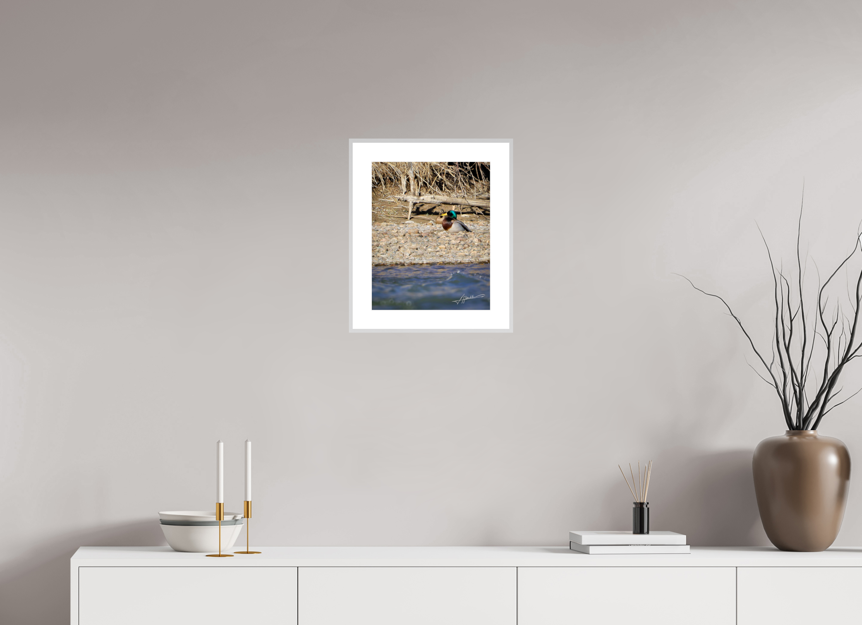 12 x 15″, Changeable Magnetic Frame Sunbathing Mallard