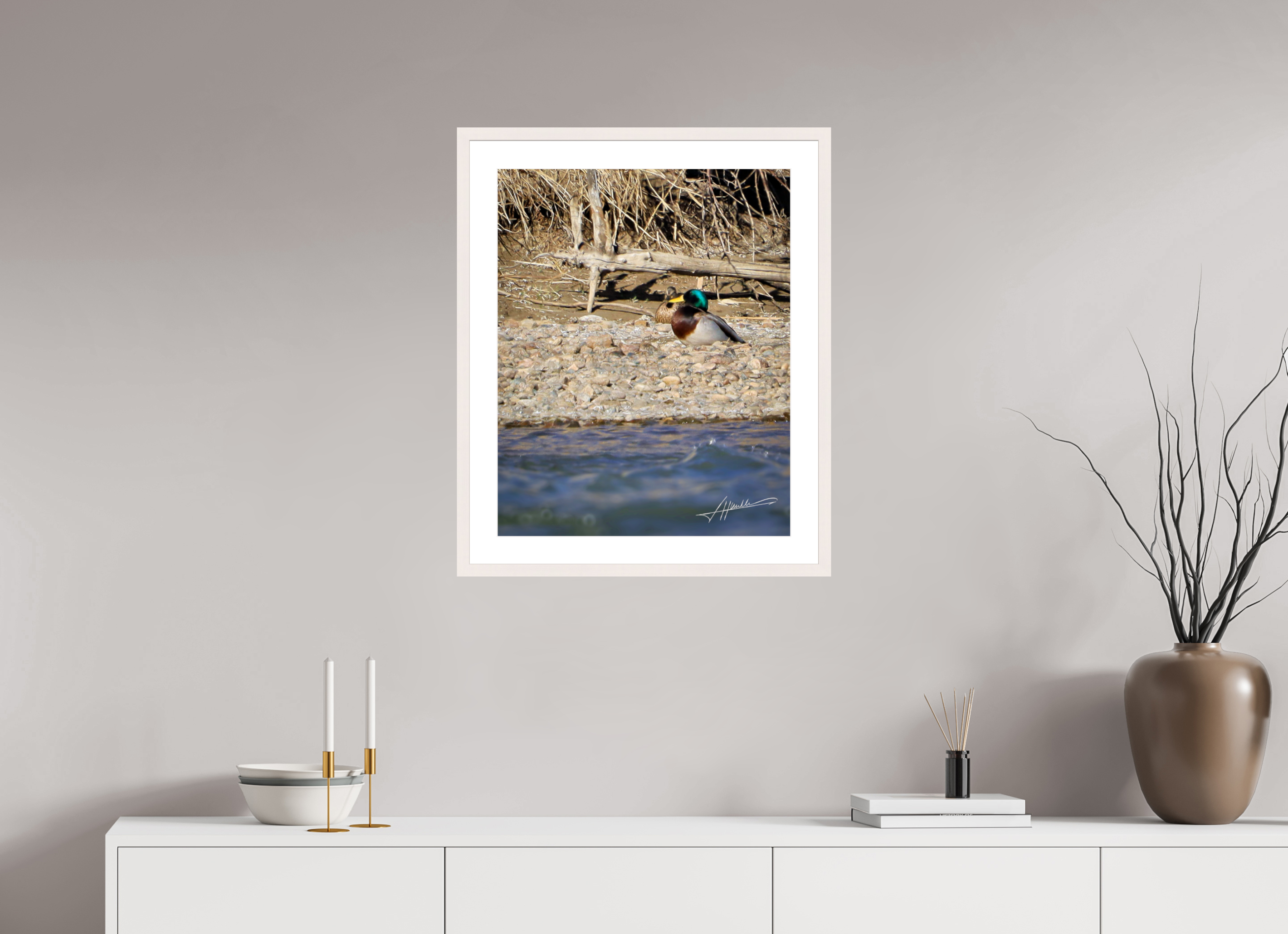 20 x 25″, Solid Wood Frame with Passe-partout Sunbathing Mallard