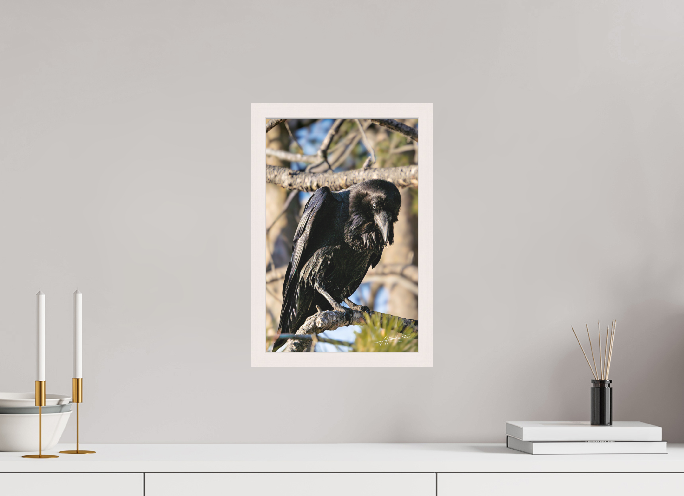 10 x 15″, Shadow Box Frame Morning Raven