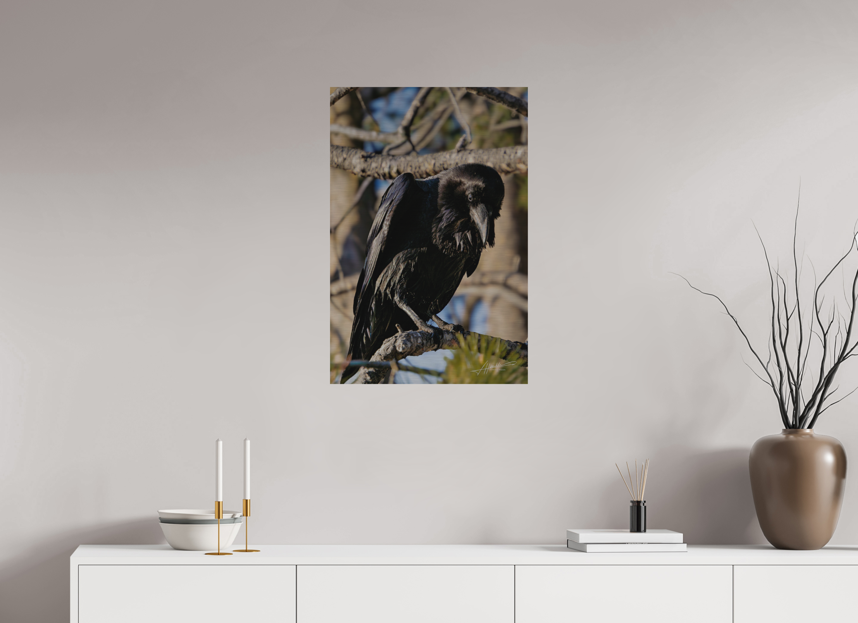 20 x 30″, Direct Brushed Aluminum Morning Raven