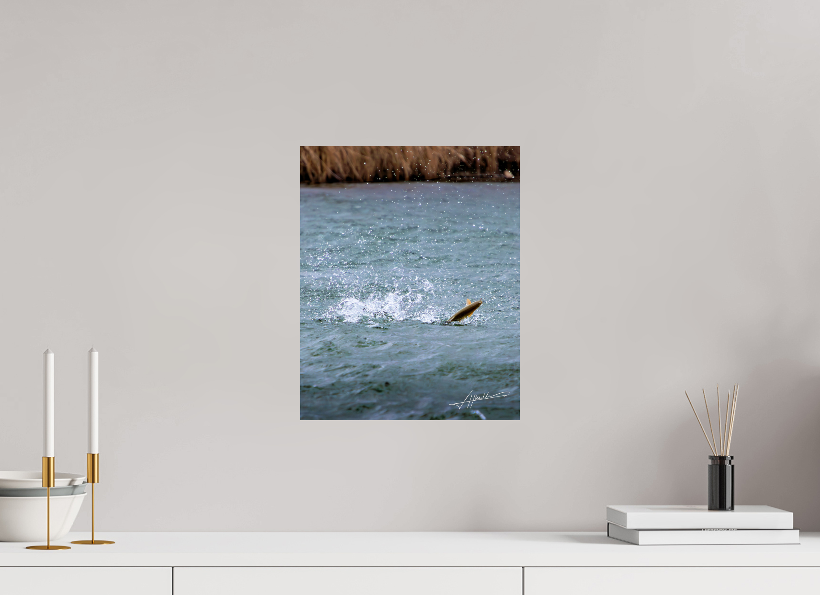 12 x 15″, Photo Print On Fujiflex High Gloss Jumping Rainbow Trout