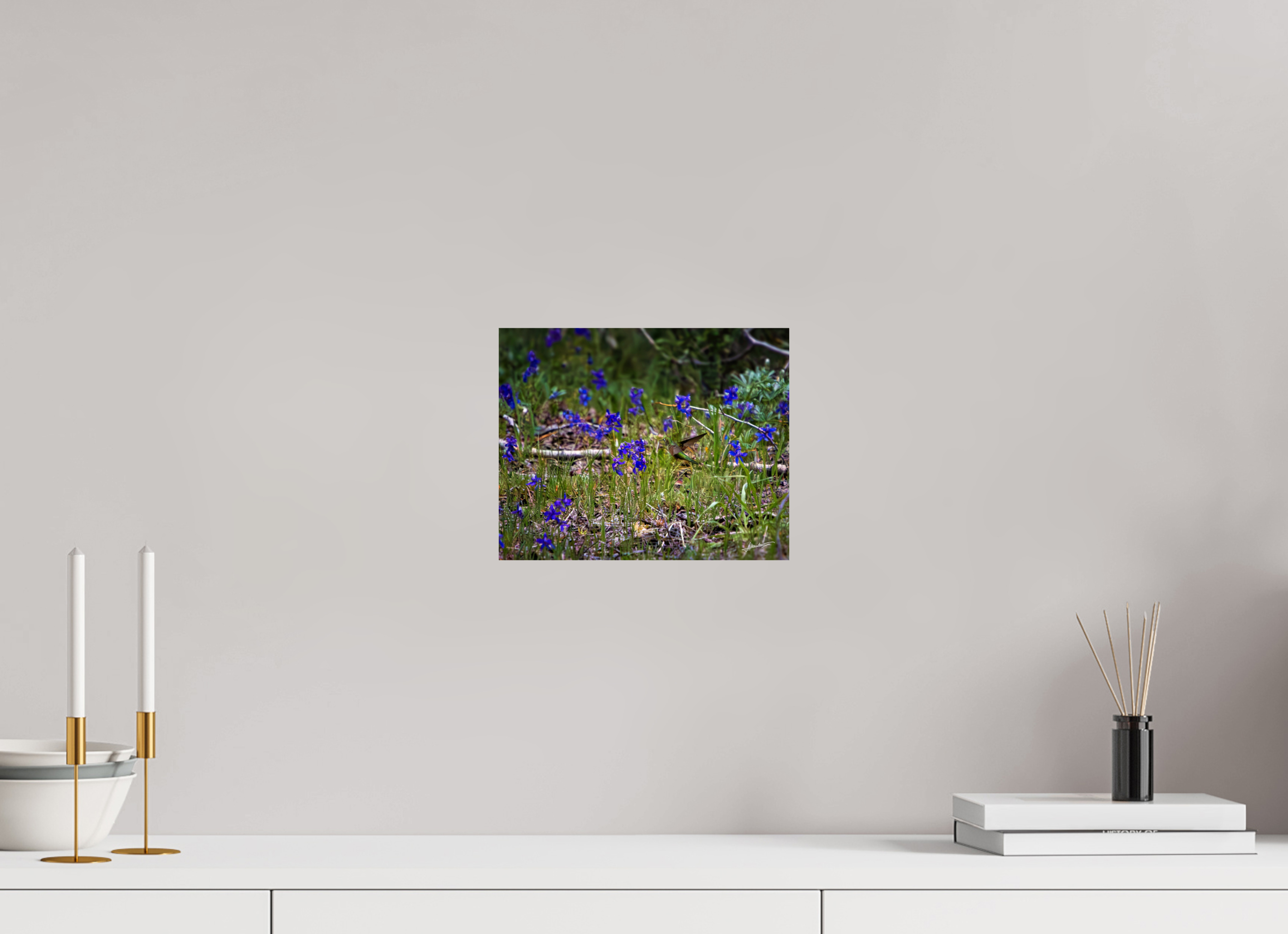 10 x 8″, ChromaLuxe HD Metal Feeding Hummingbird