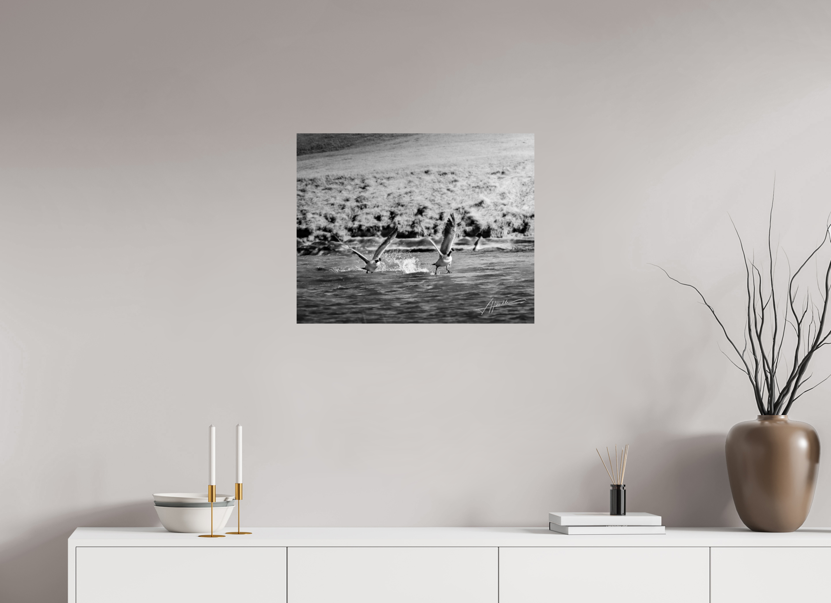 25 x 20″, Photo Print On Ilford Baryta Paper Geese Taking Flight