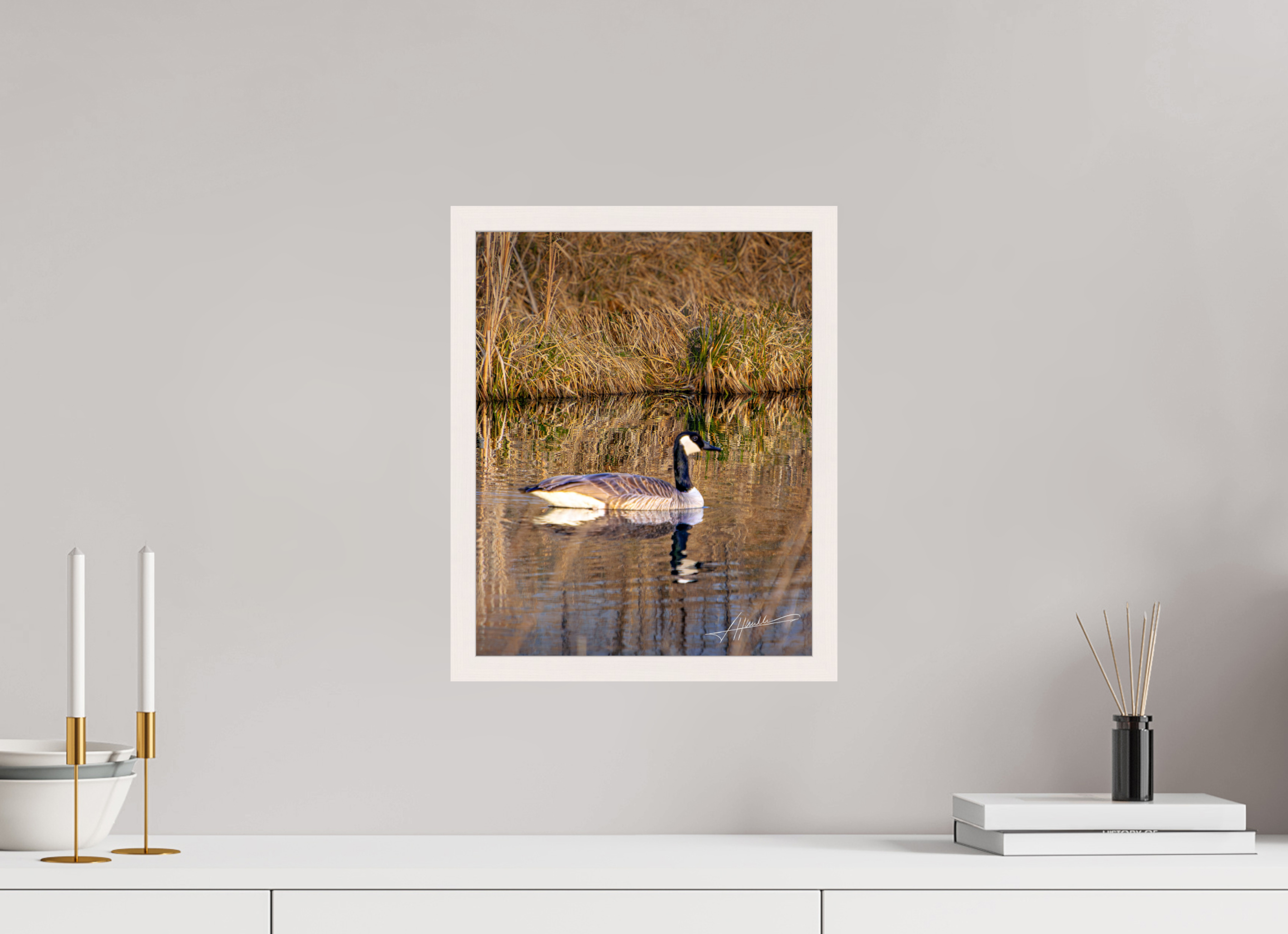 12 x 15″, Gallery Frame A Swimming Reflection