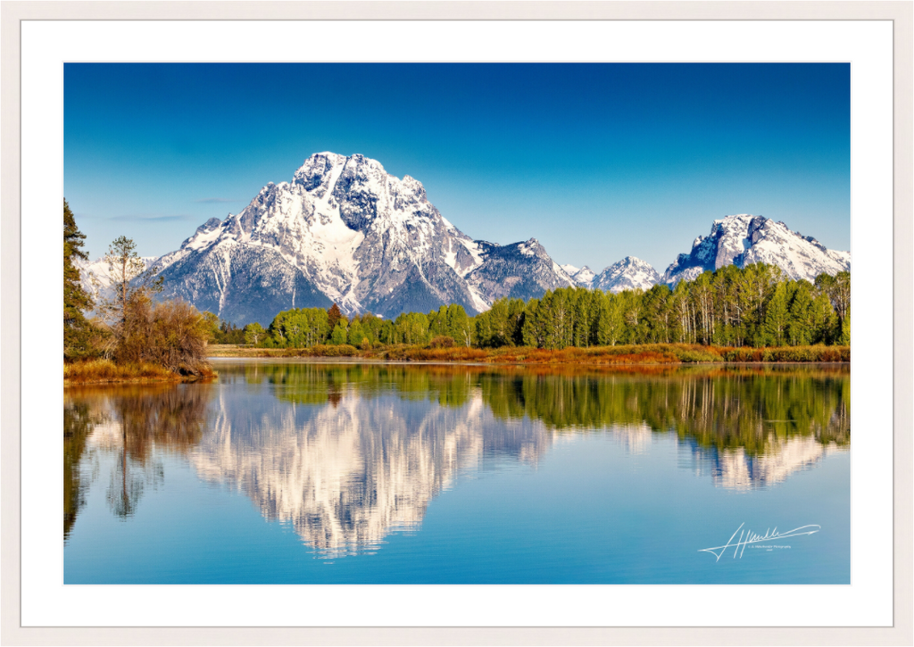 Main image Serene Reflection