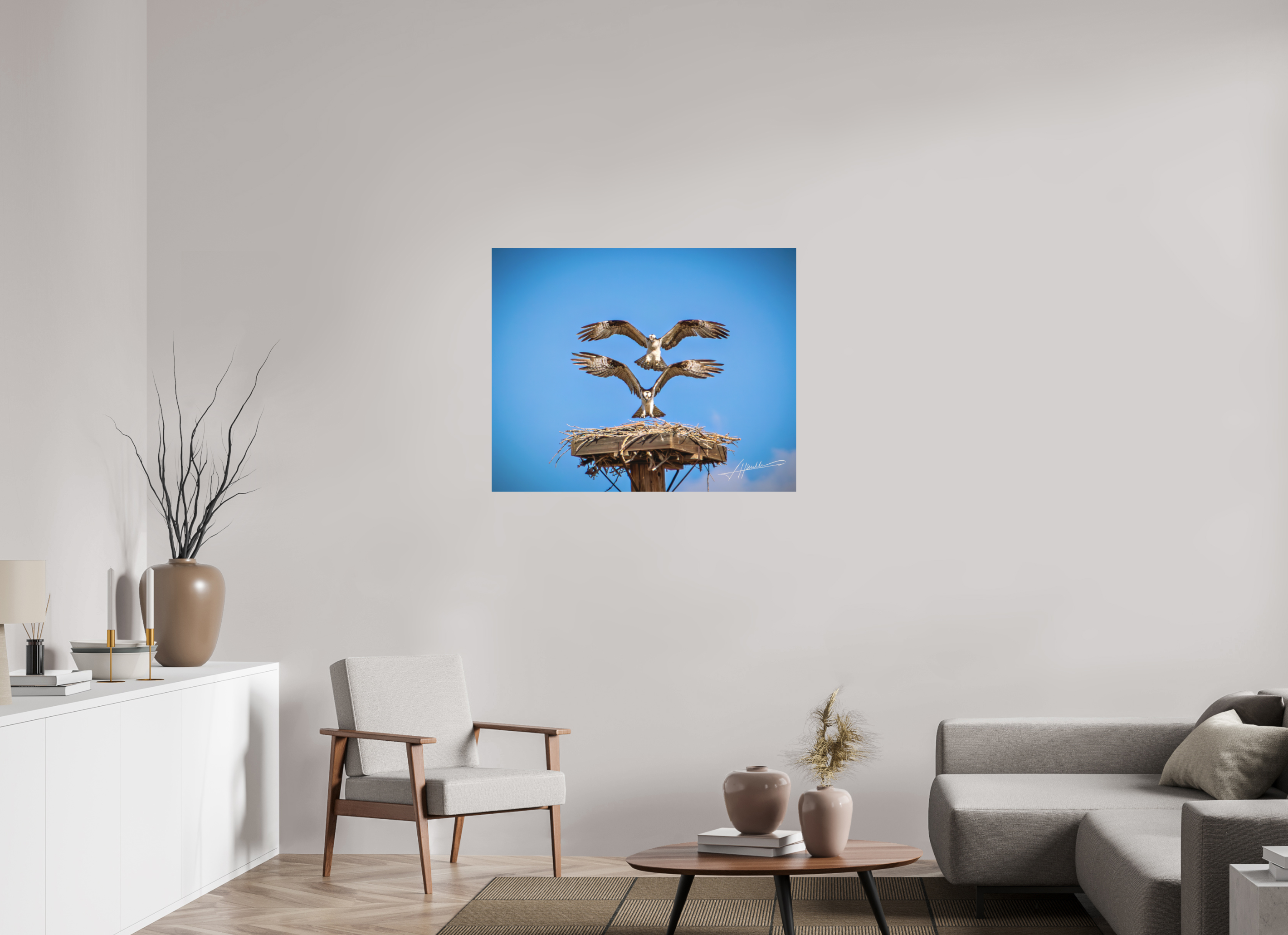 38.7 x 31″, Metal Dibond Two Osprey Landing