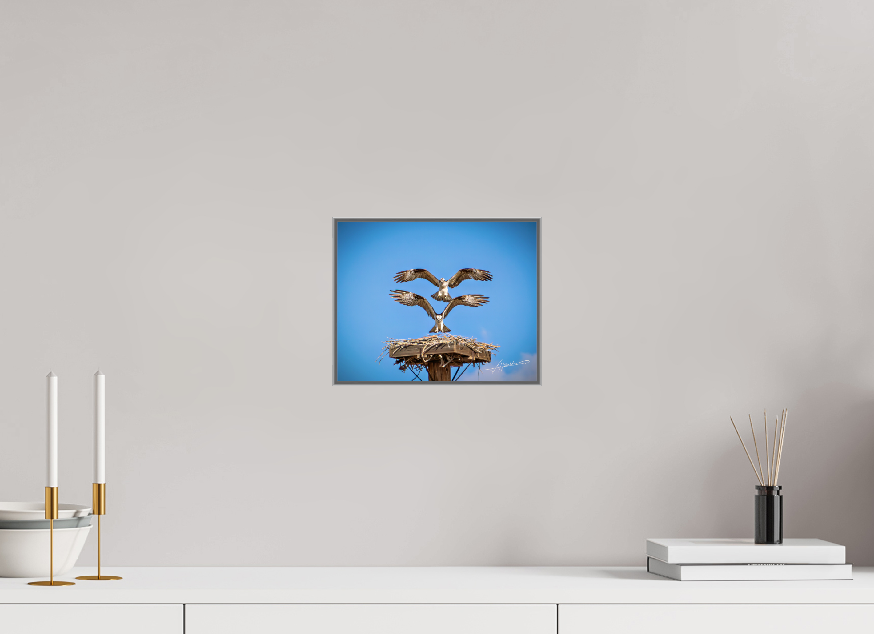 10 x 8″, Aluminum ArtBox Two Osprey Landing