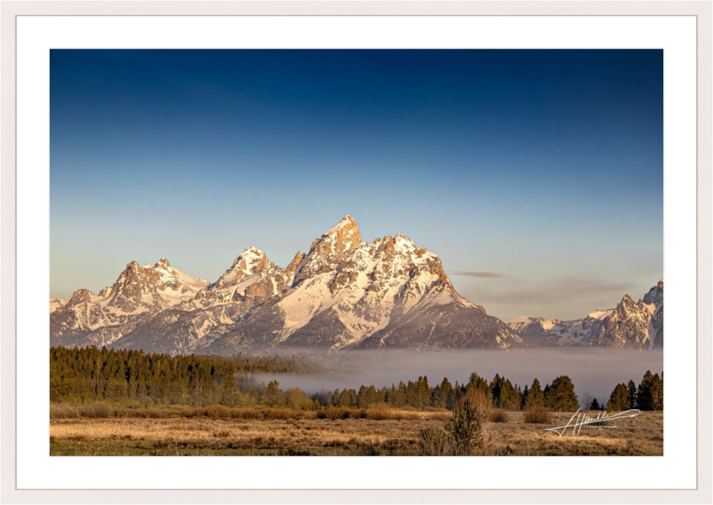 Main image Above the Fog