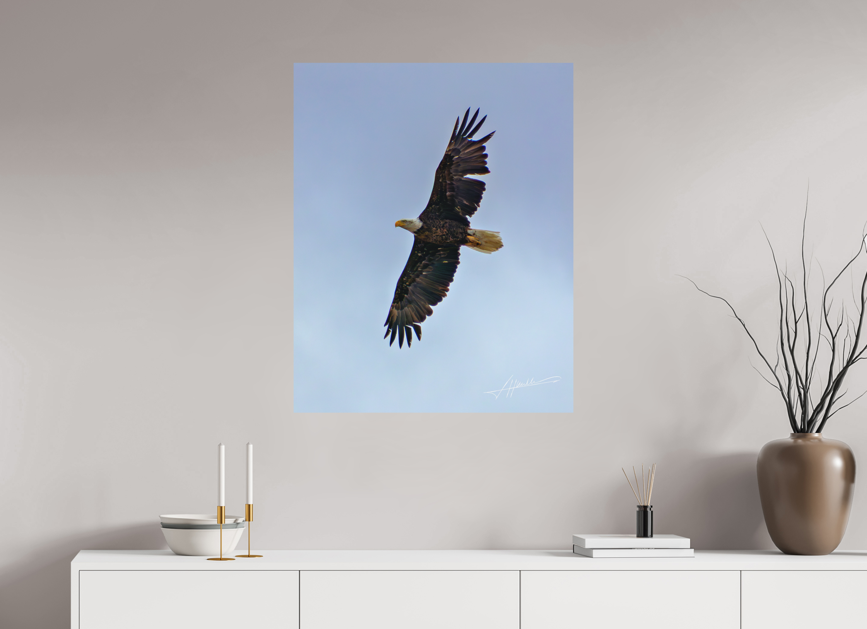 28 x 35″, Metal Dibond Wings Spread