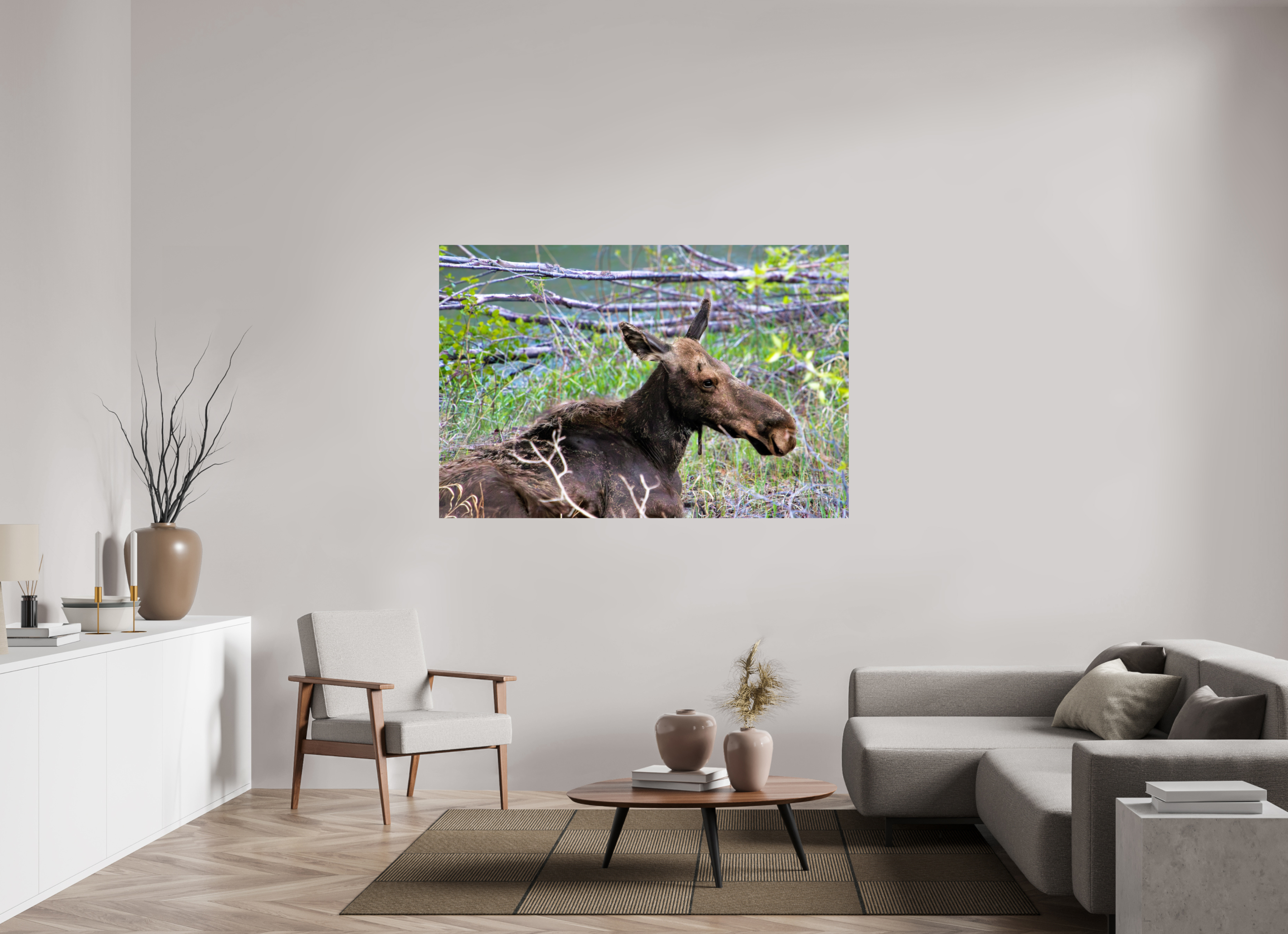 66 x 44″, Metallic Photo Print On Fuji Crystal Pearl Moose Relaxing