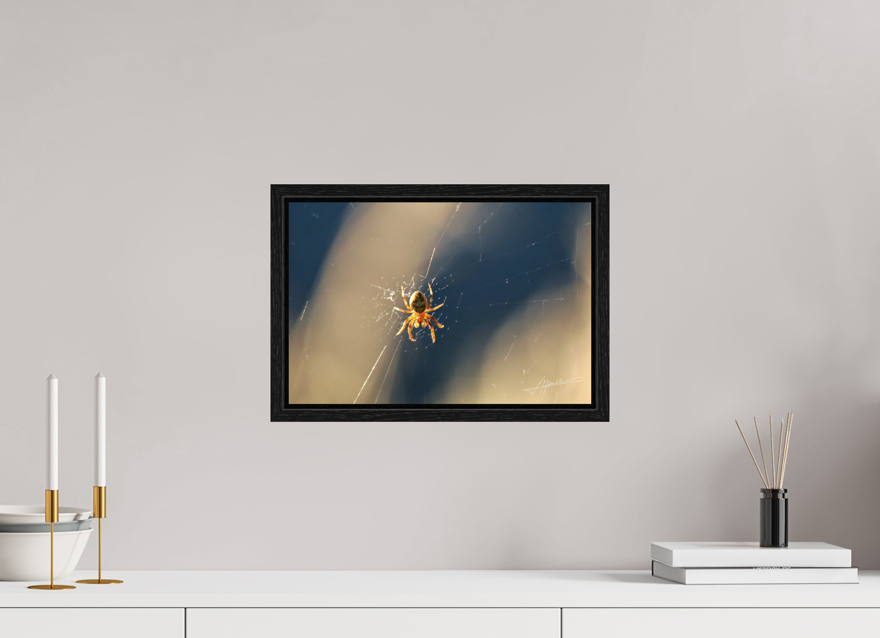 15 x 10″, Floater Frame Tattered Web