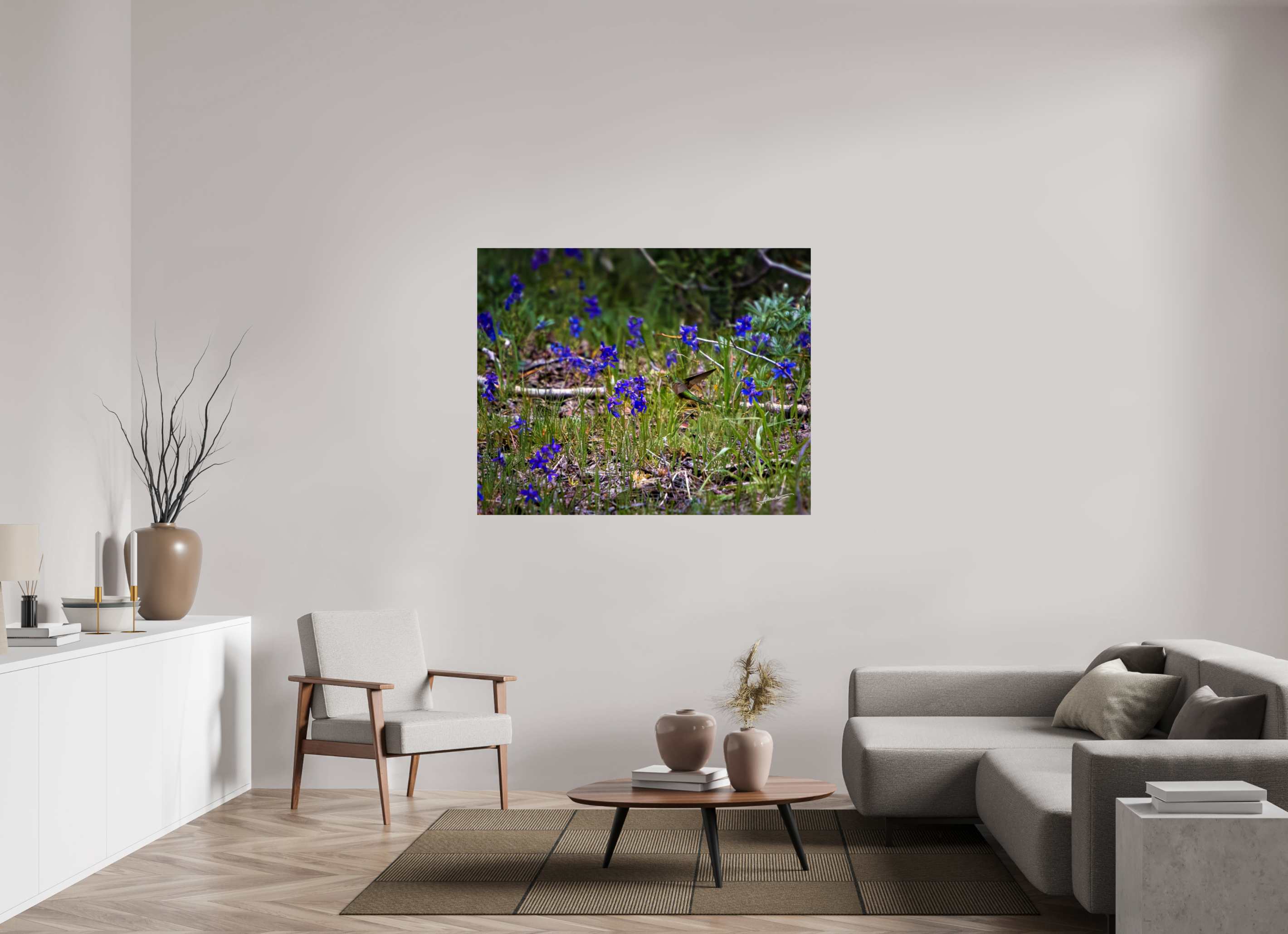53.7 x 43″, Metallic Photo Print On Fuji Crystal Pearl Feeding Hummingbird