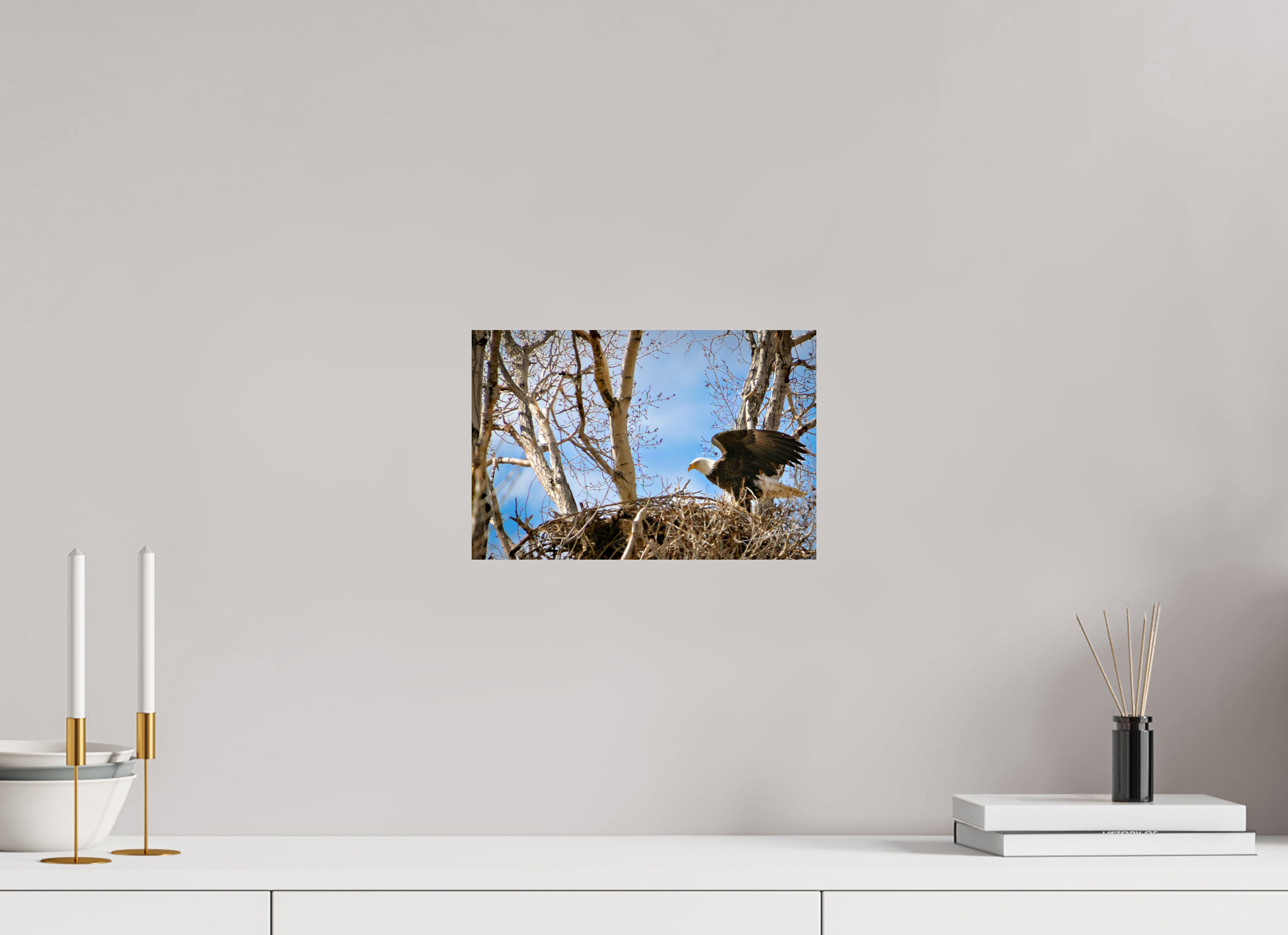 12 x 8″, Metallic Photo Print On Fuji Crystal Pearl The Eagles Nest
