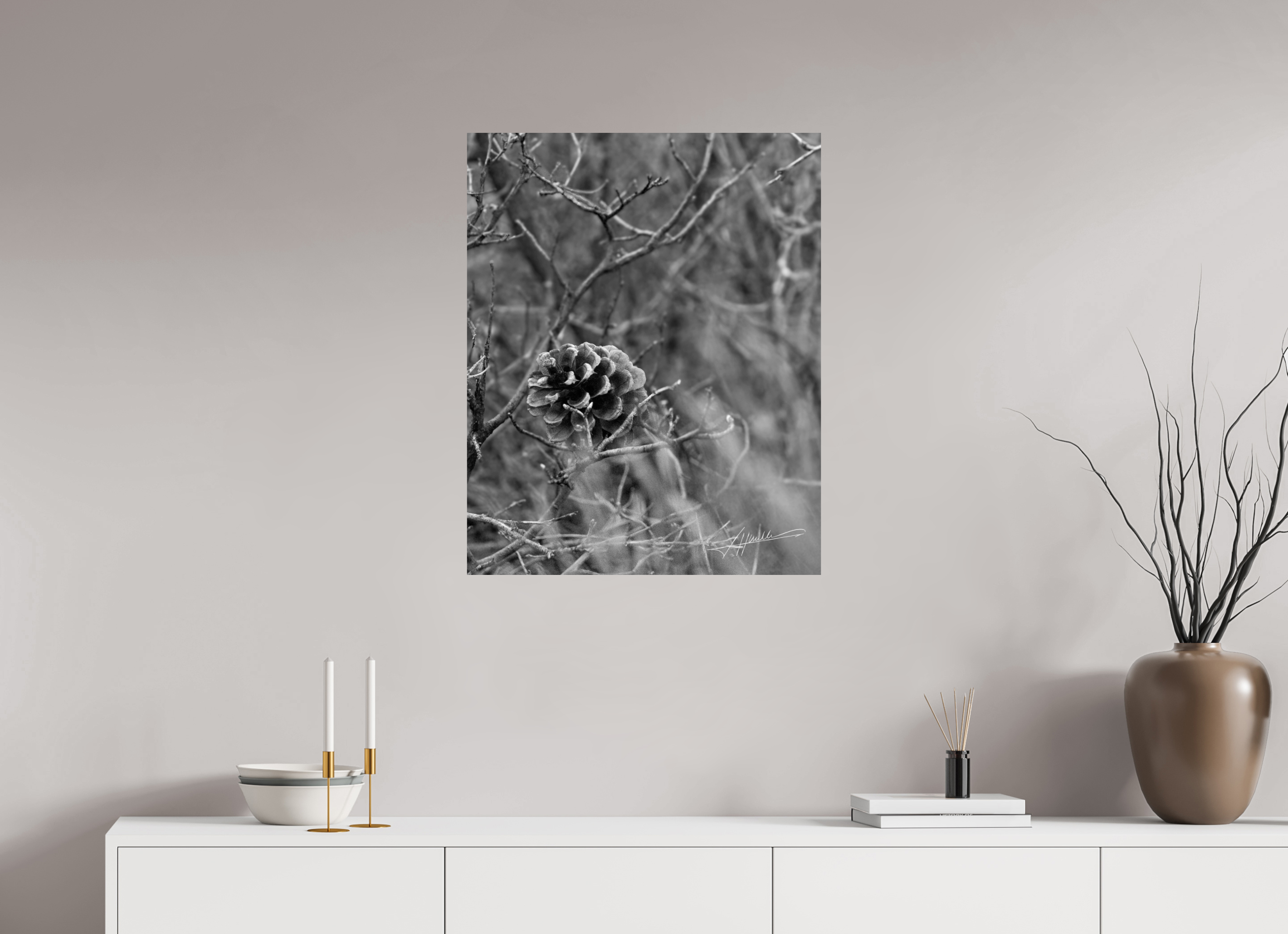 24 x 30″, Photo Print On Ilford Baryta Paper Mountain Pinecone