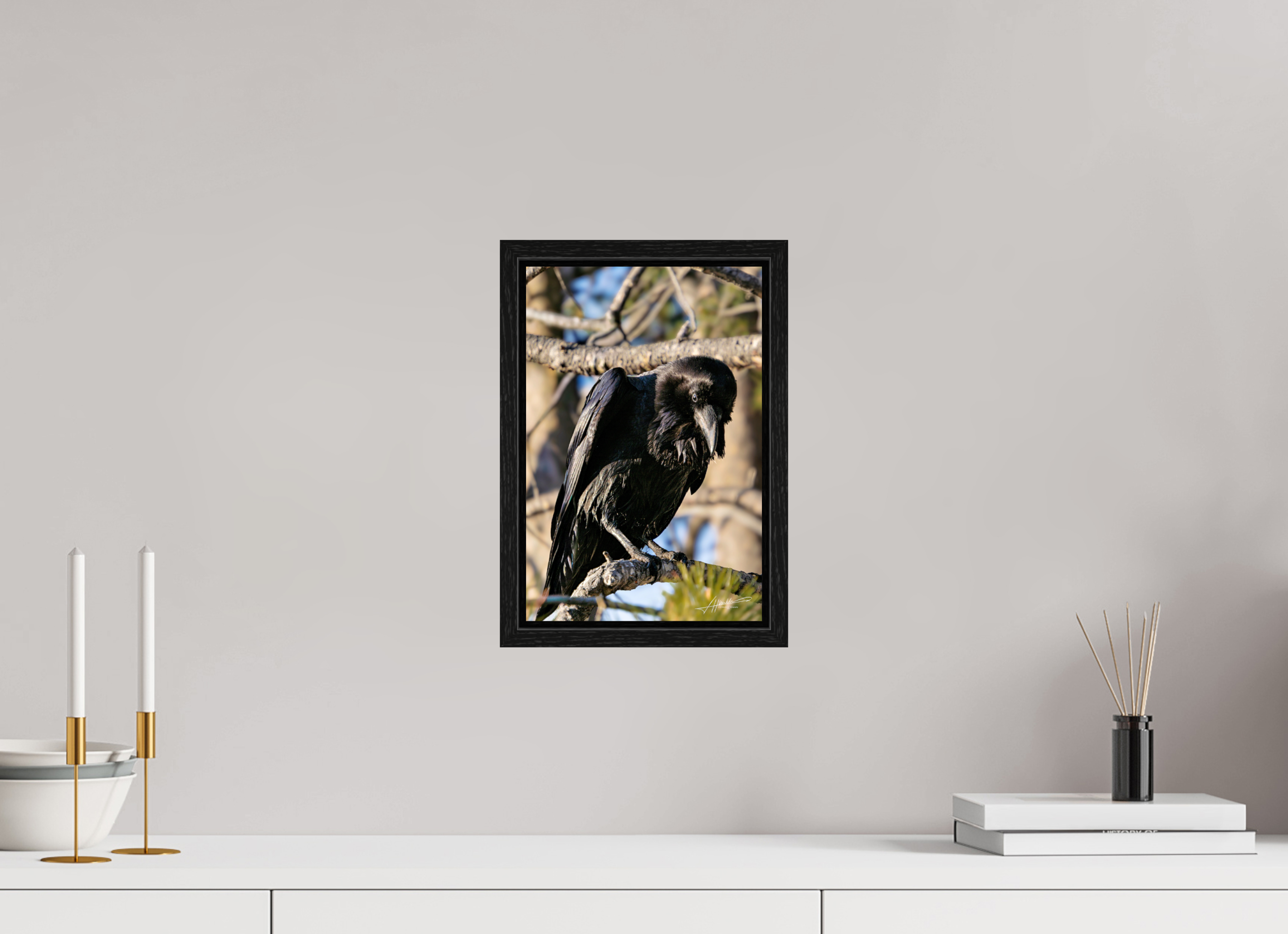 8 x 12″, Floater Frame Morning Raven