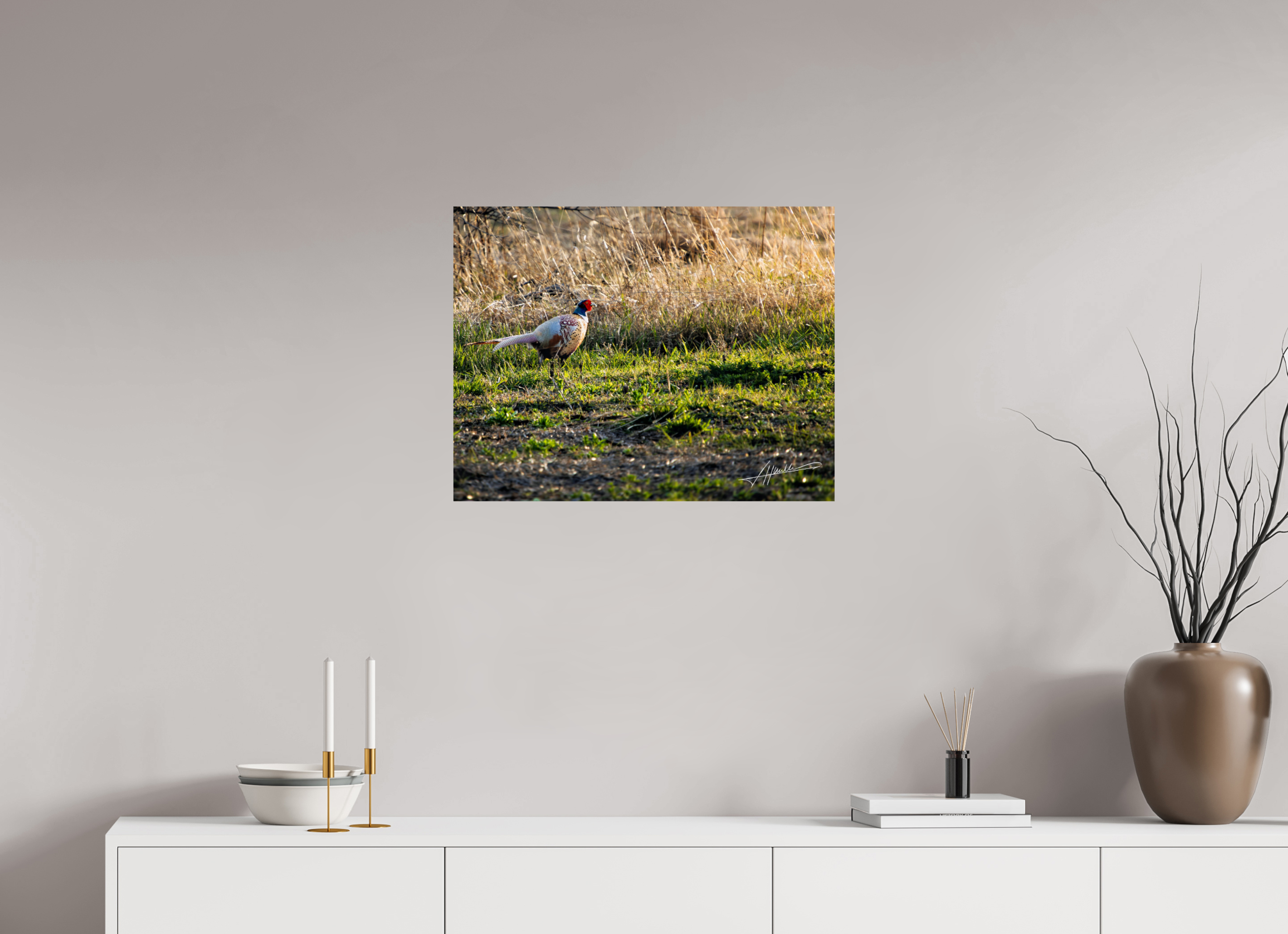 25.9 x 20″, Fine Art Print Evening Pheasant