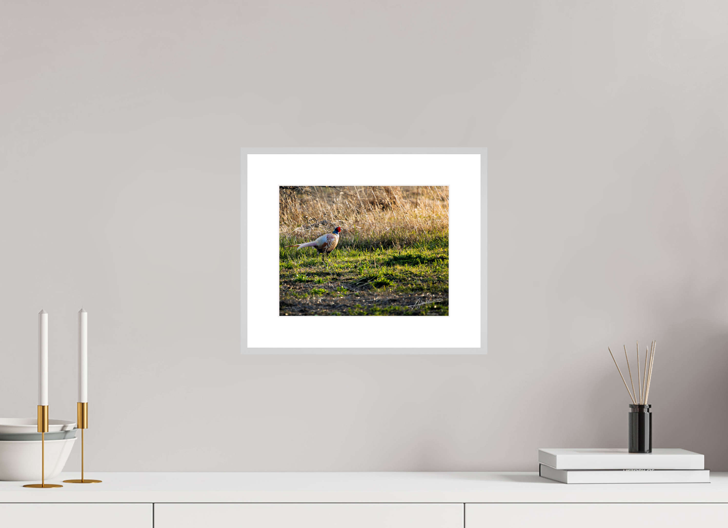 10.4 x 8″, Changeable Magnetic Frame Evening Pheasant