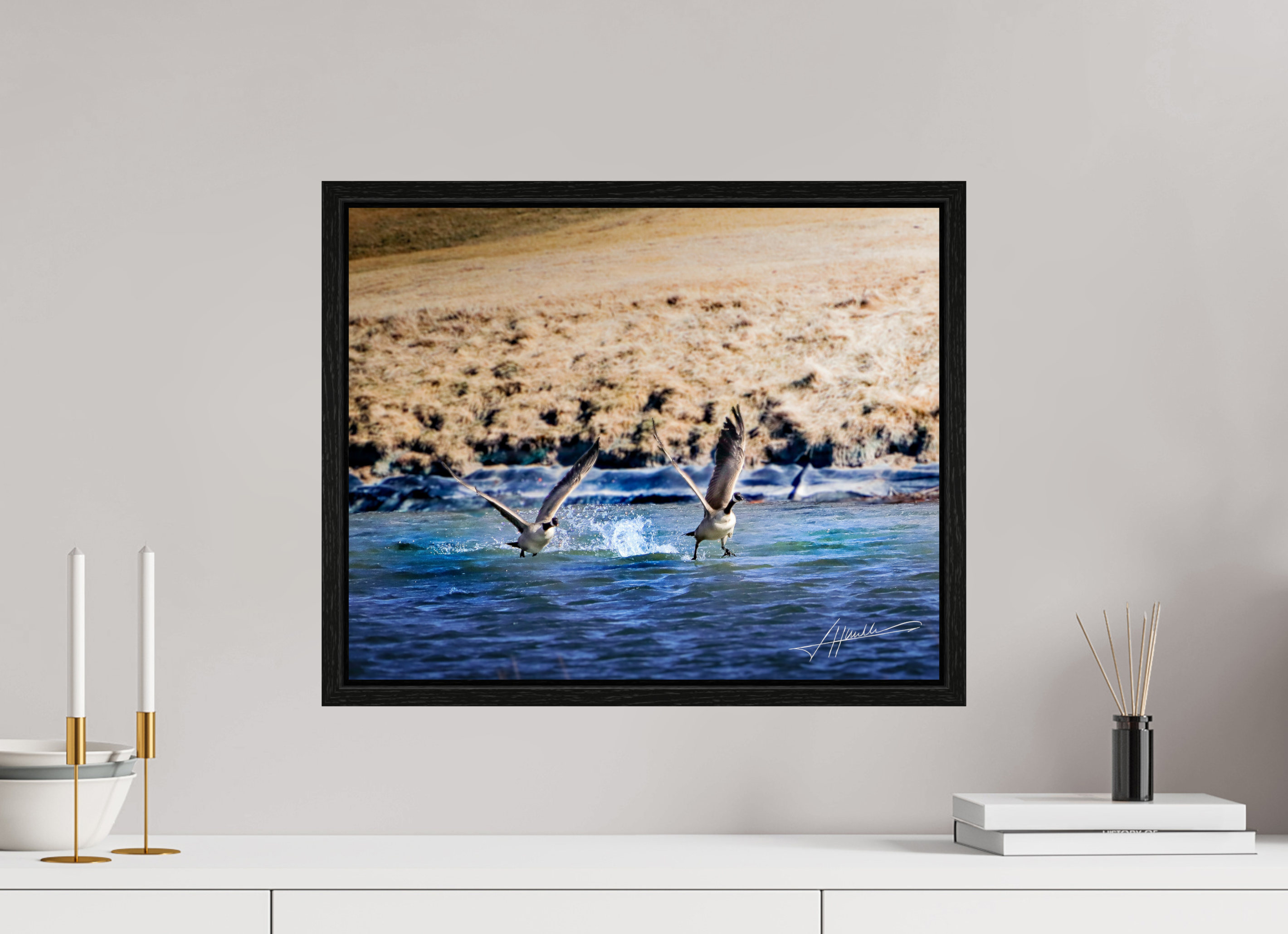 20 x 16″, Floater Frame Geese Taking Flight