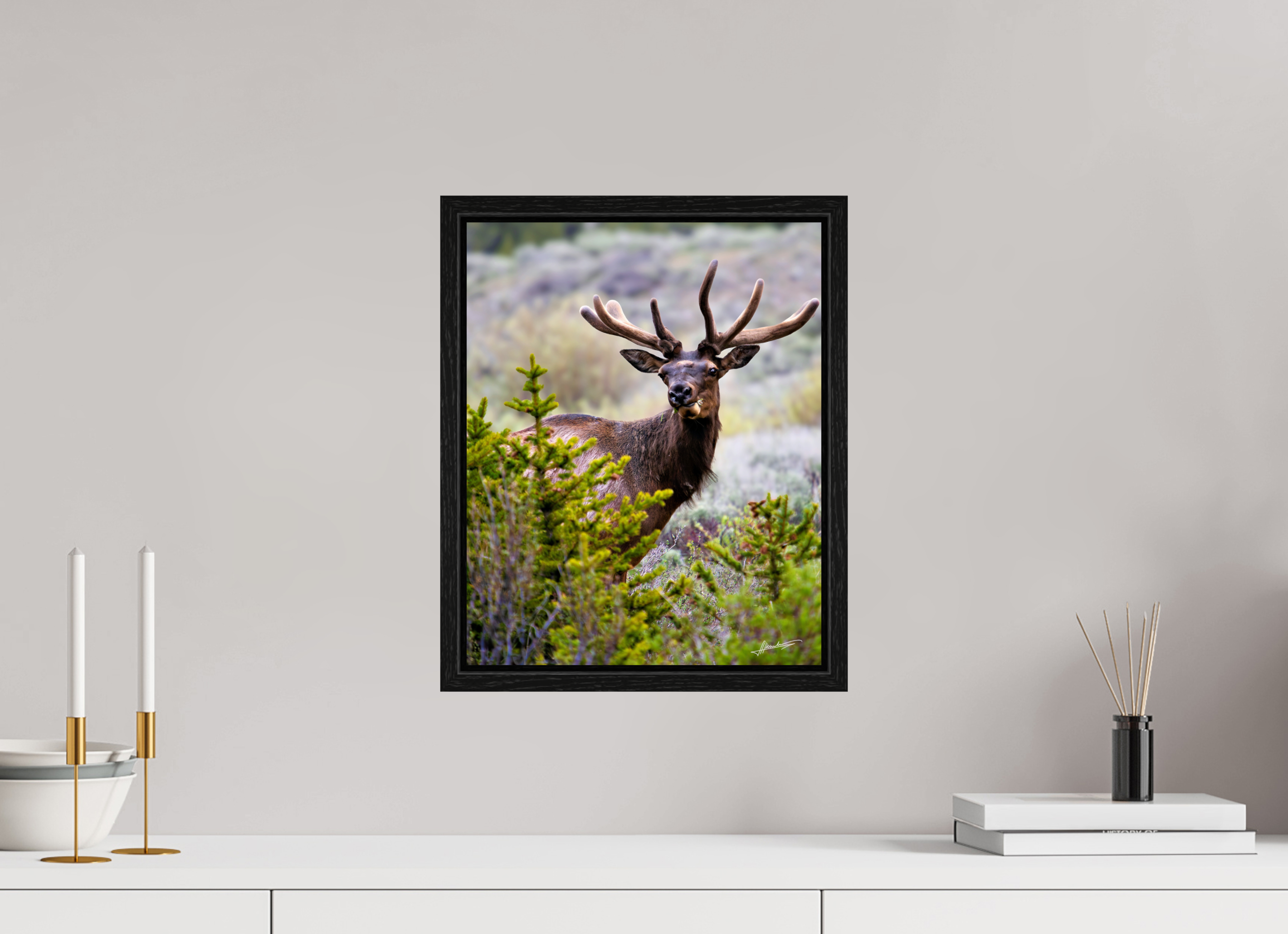 12 x 15″, Floater Frame Velvet Bull