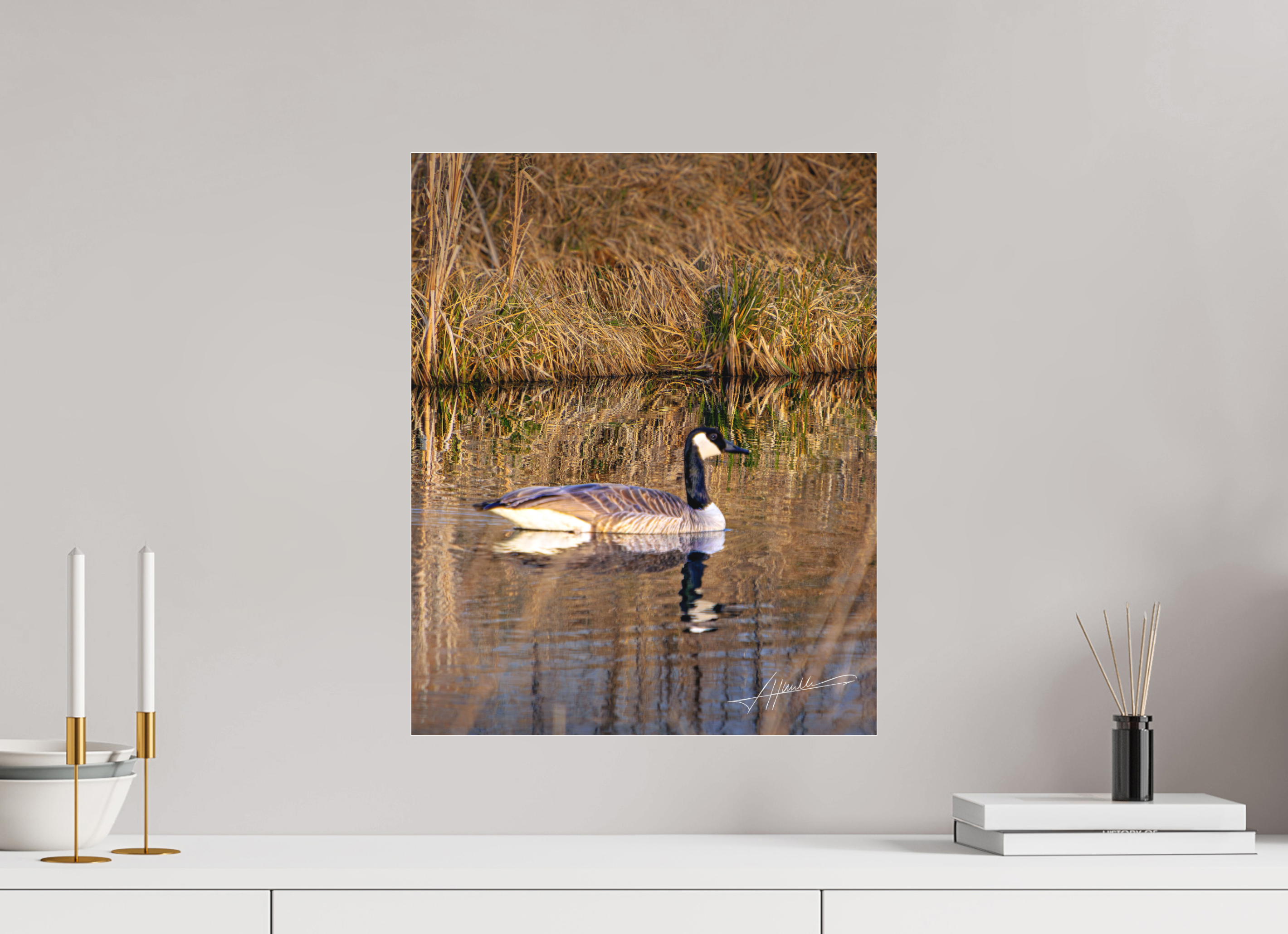 16 x 20″, Fine Pigment Under Acrylic A Swimming Reflection