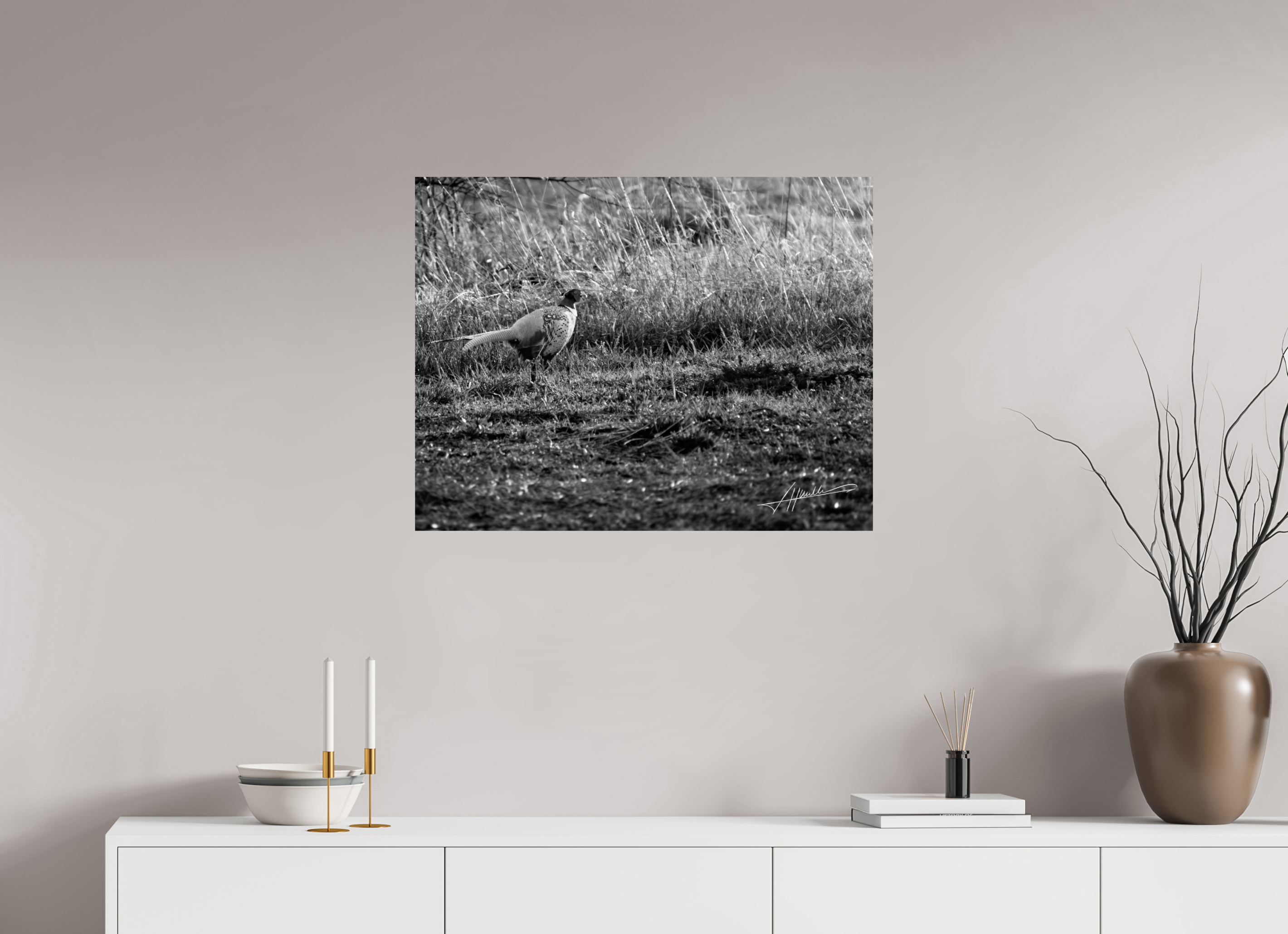 31.1 x 24″, Photo Print On Ilford Baryta Paper Evening Pheasant