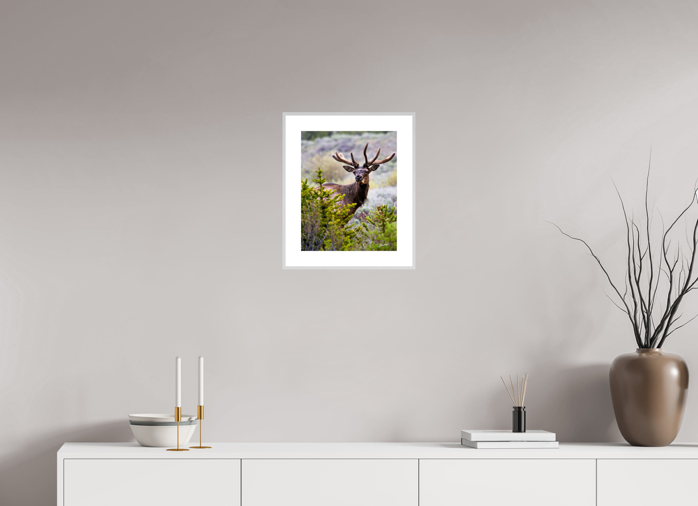 12 x 15″, Changeable Magnetic Frame Velvet Bull